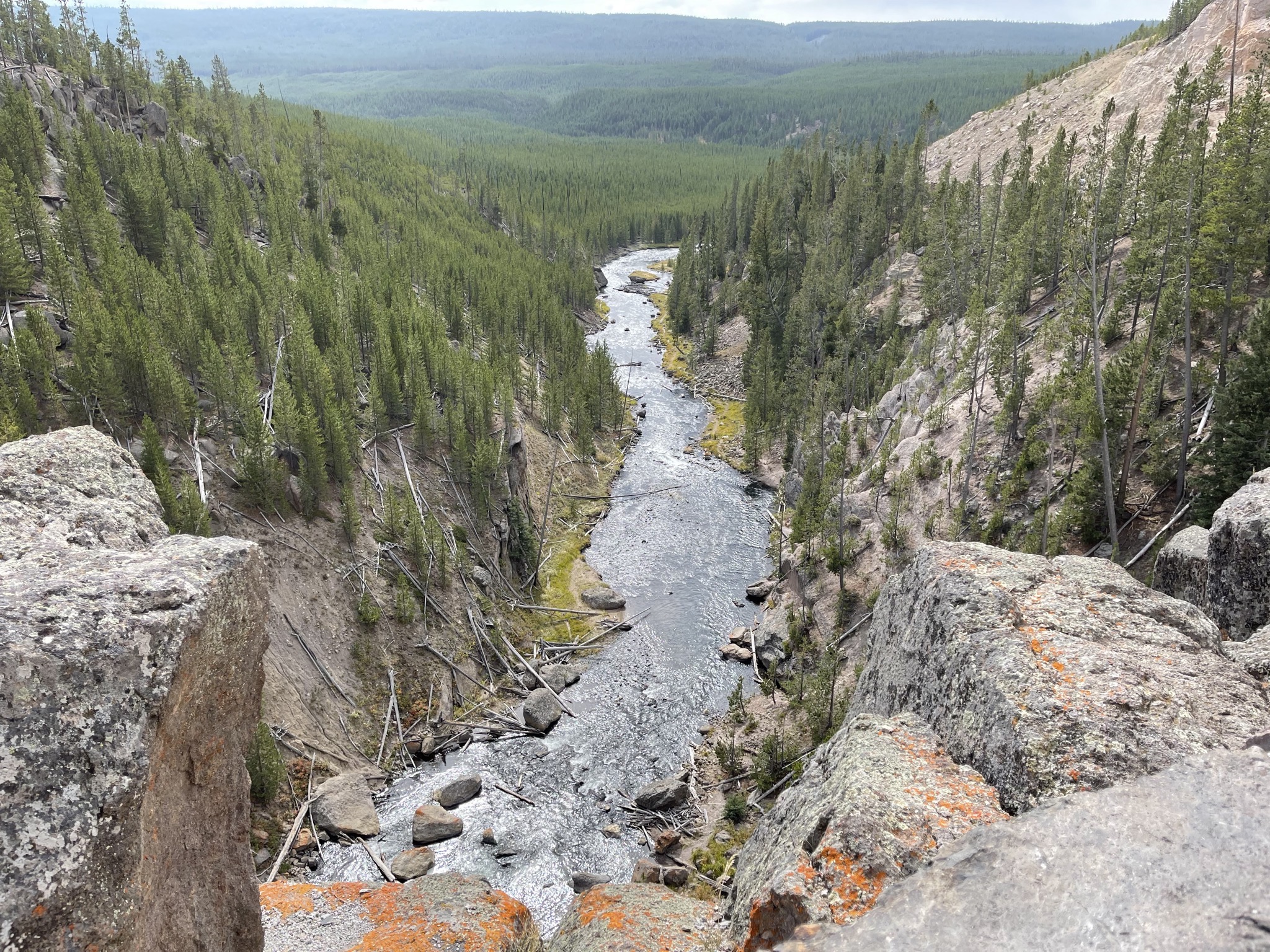 Gibbon river