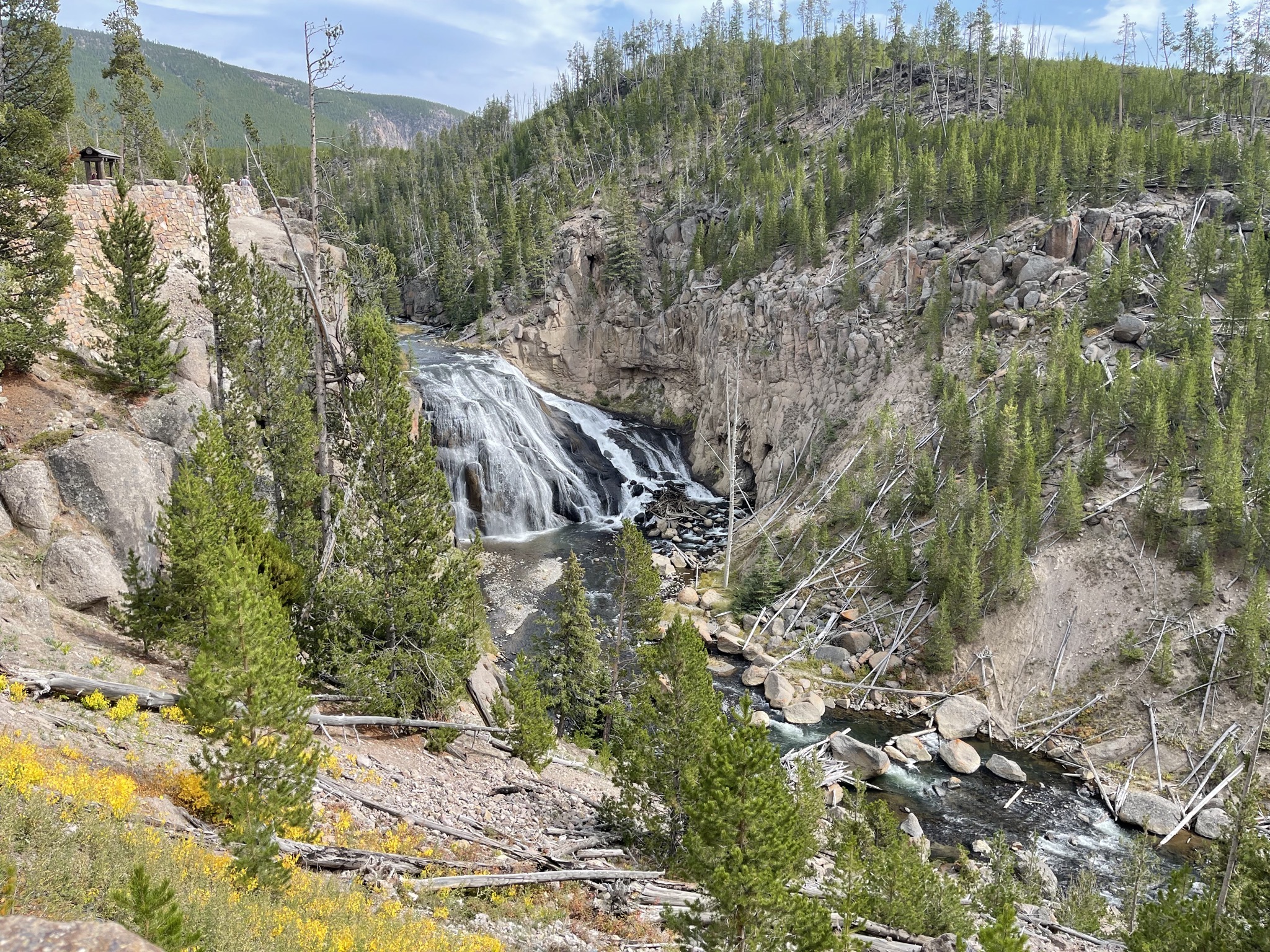 Gibbon falls