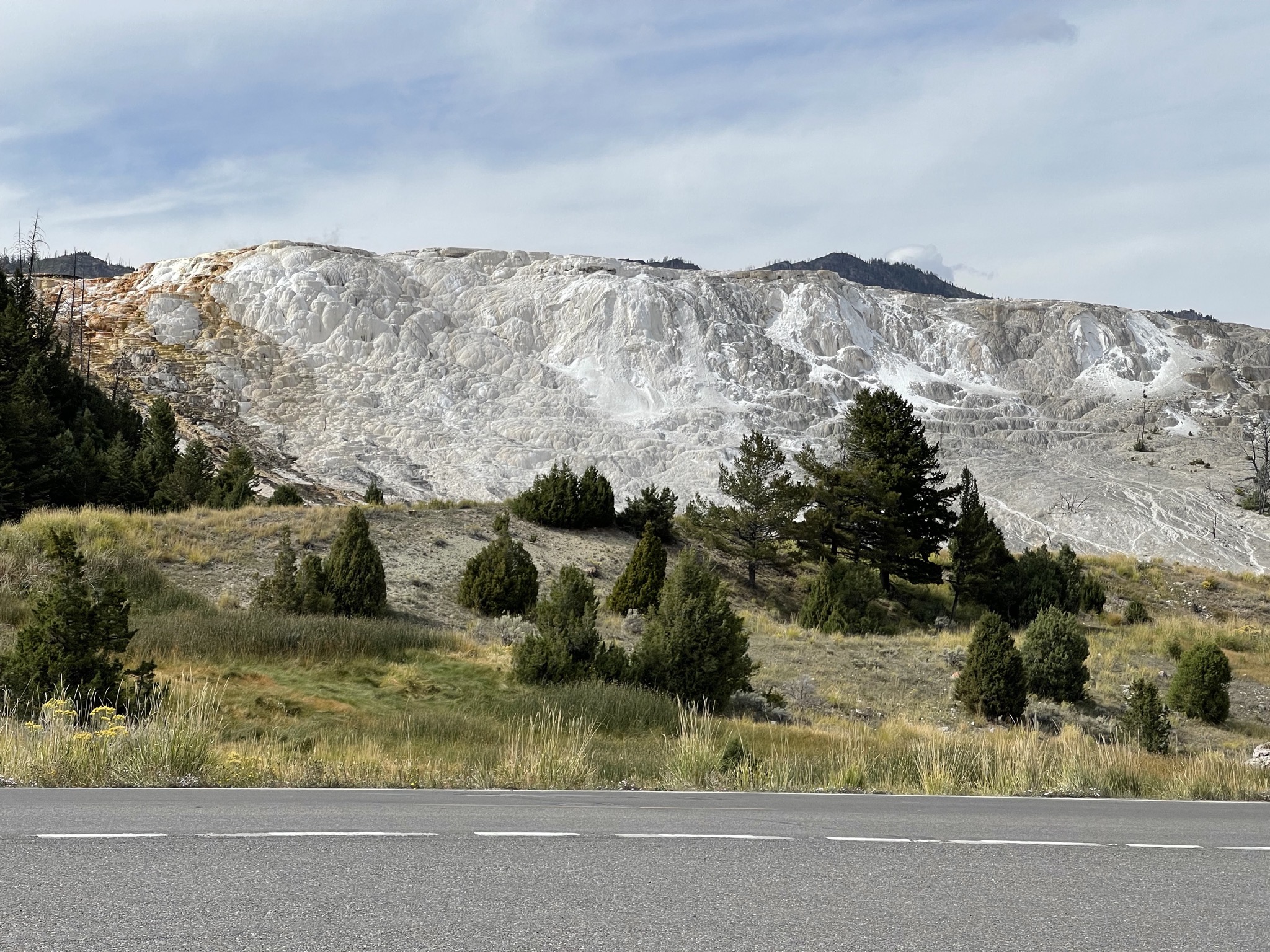 Mammoth terraces