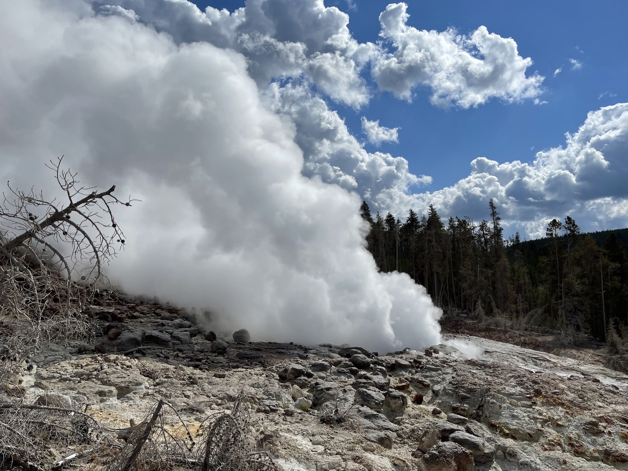 Steamboat Geyser