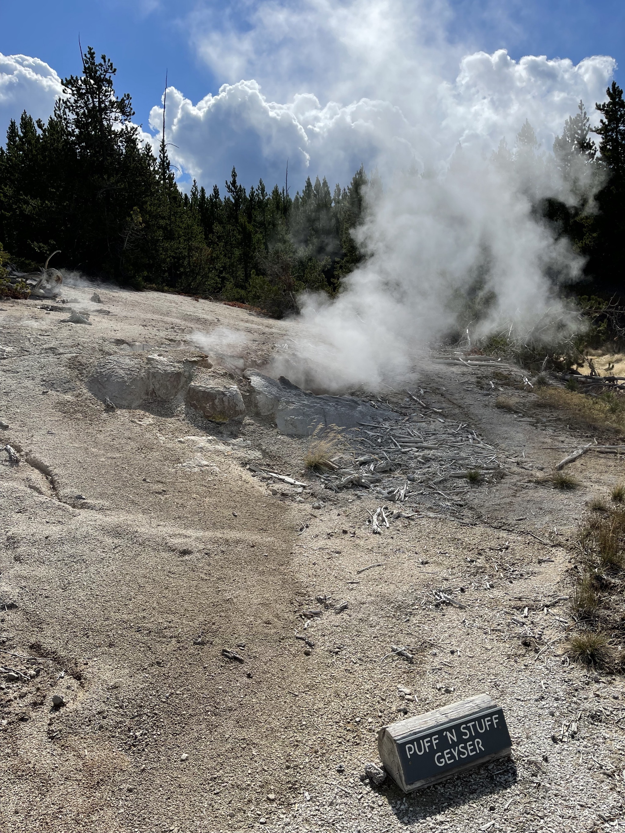 Puff 'n Stuff Geyser