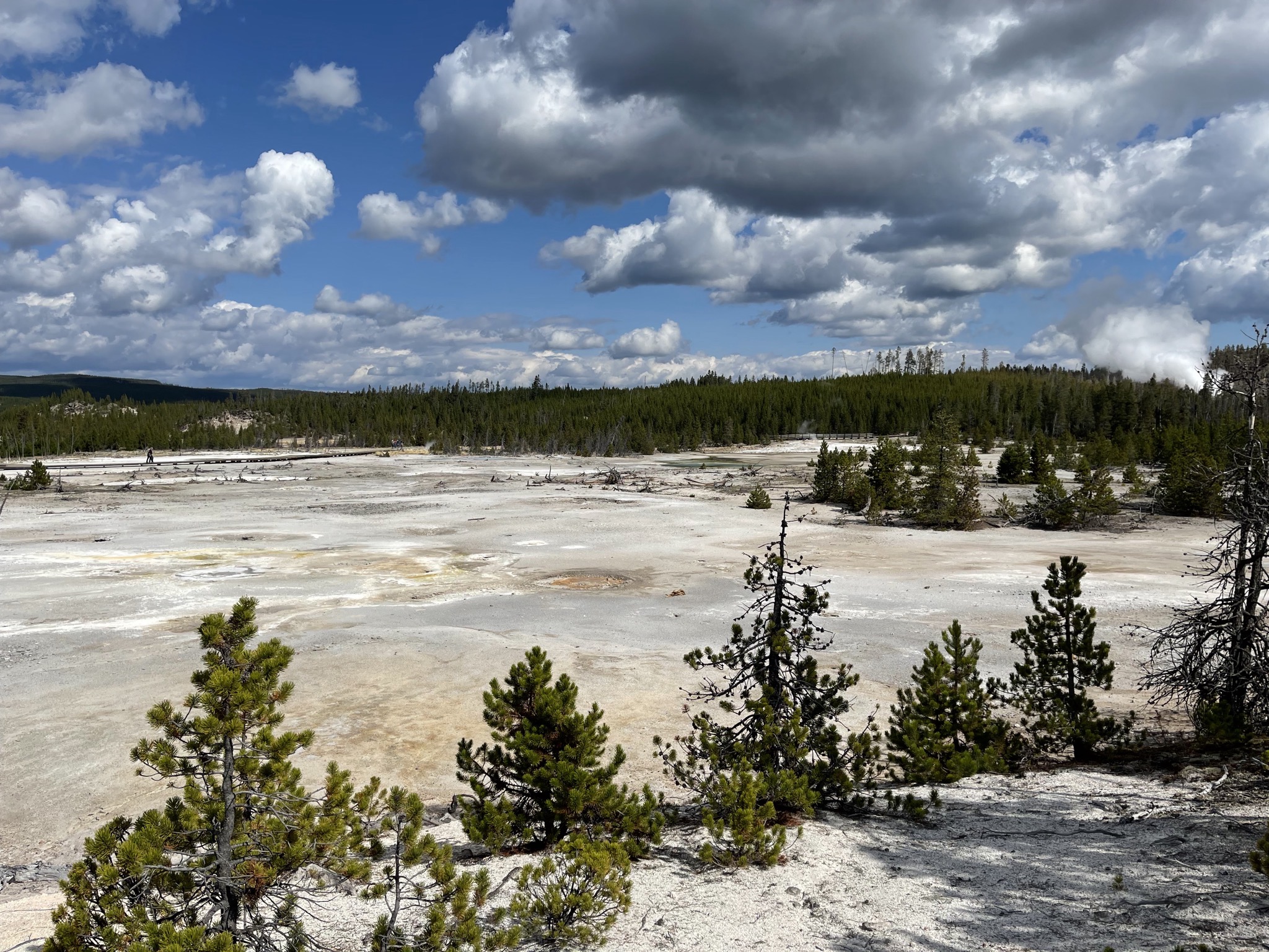 Geyser basin