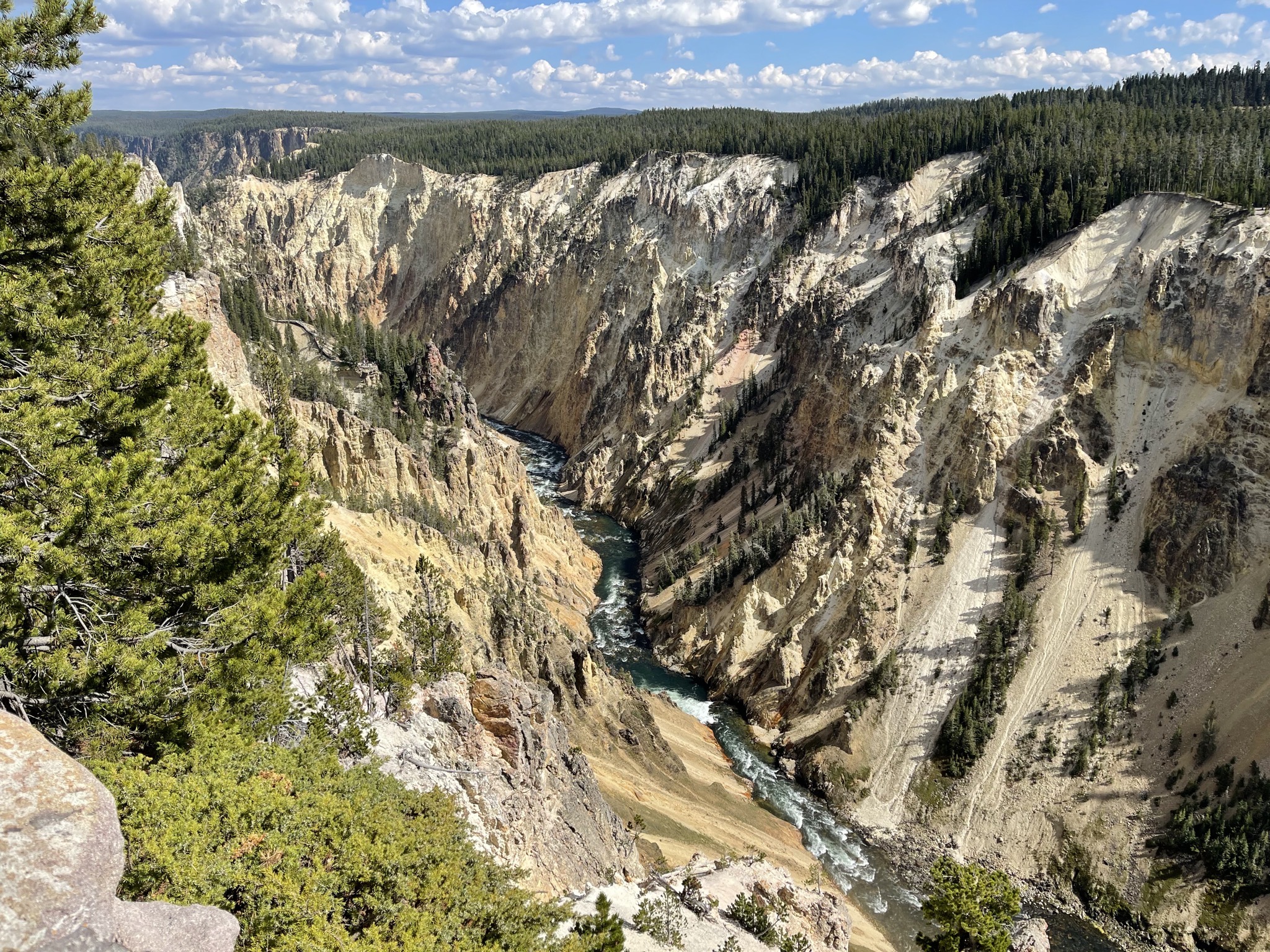 Grand Canyon of Yellowstone