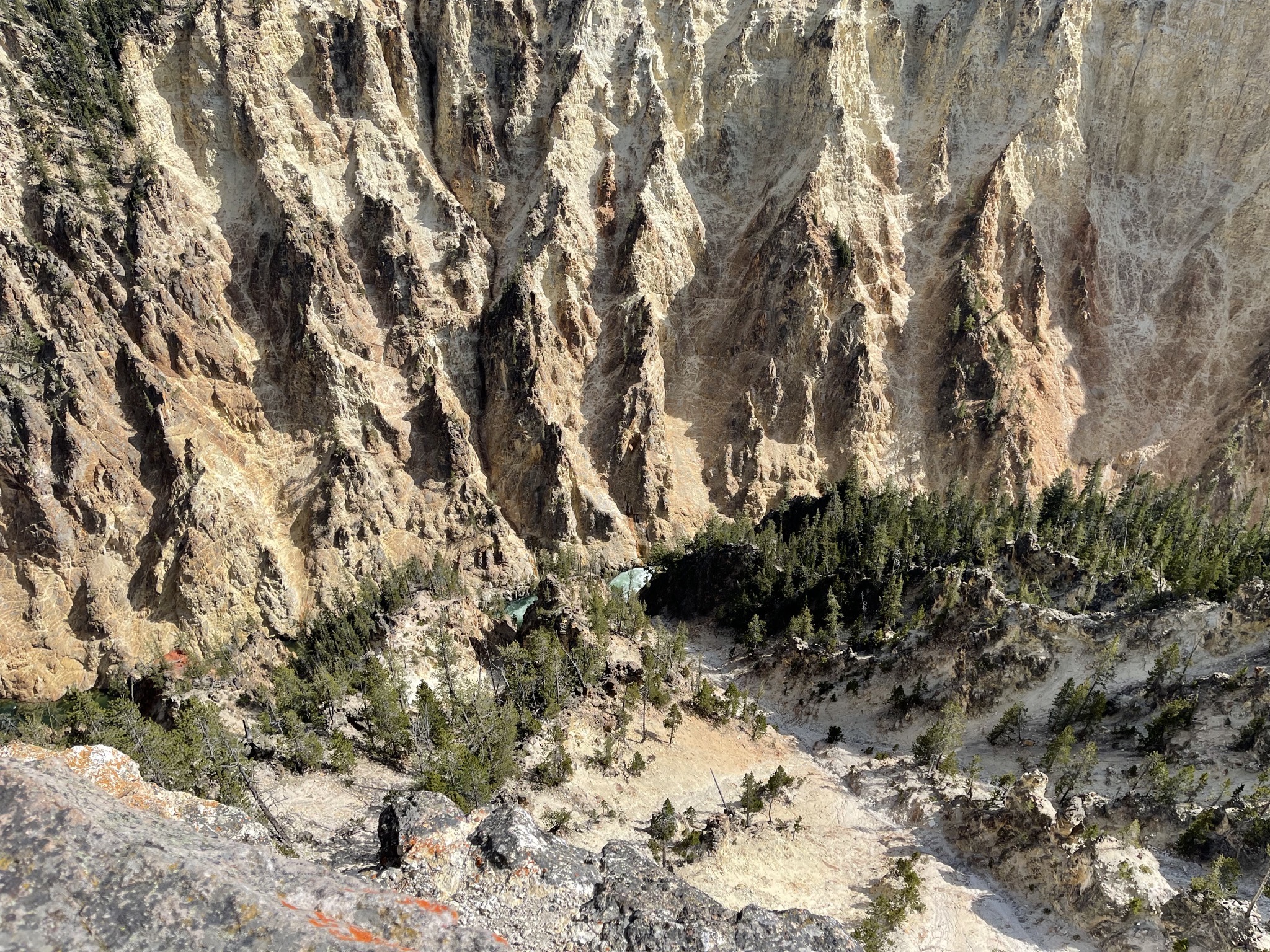 Grand Canyon of Yellowstone