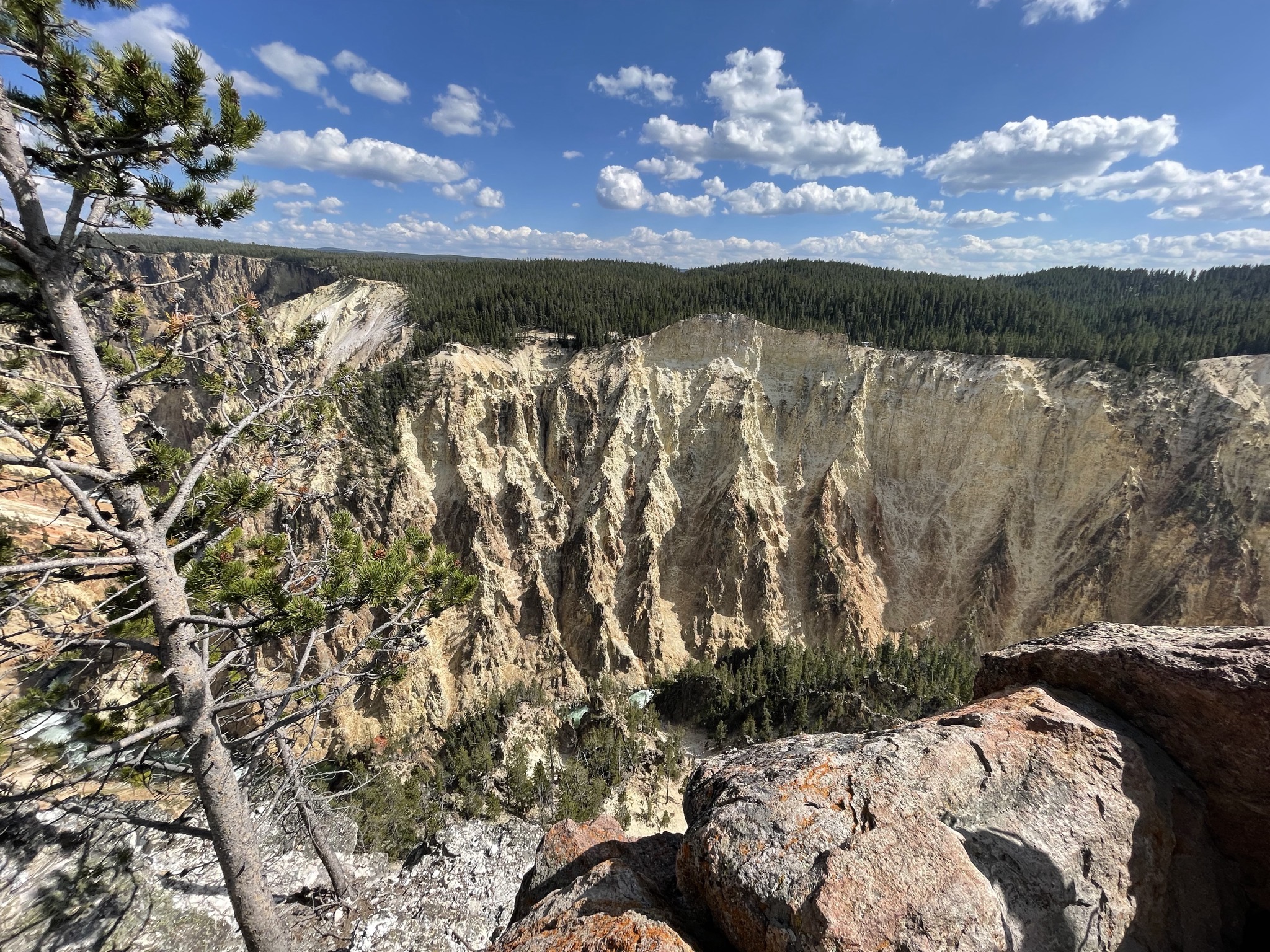 Grand Canyon of Yellowstone