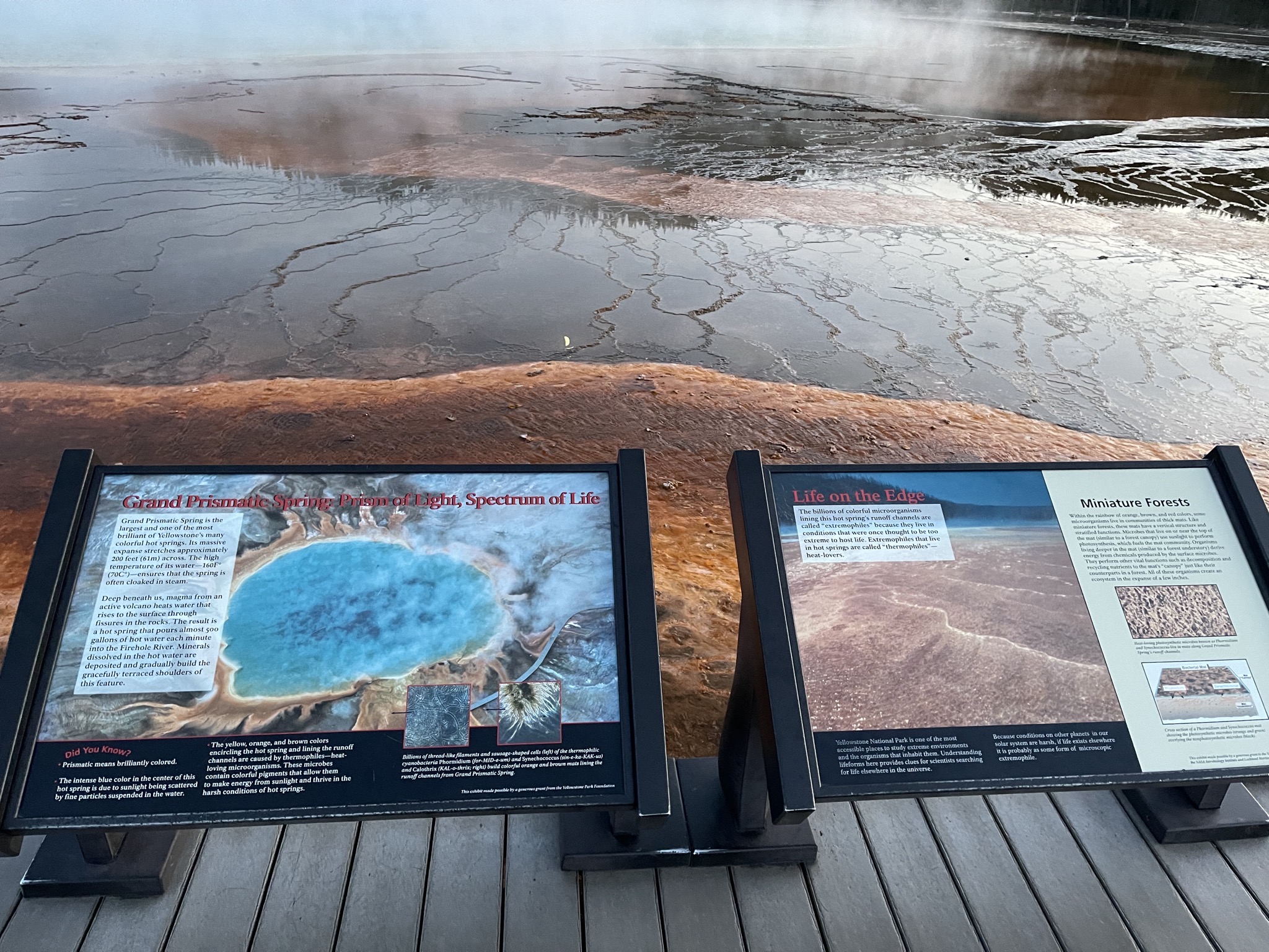 Grand Prismatic Spring info
