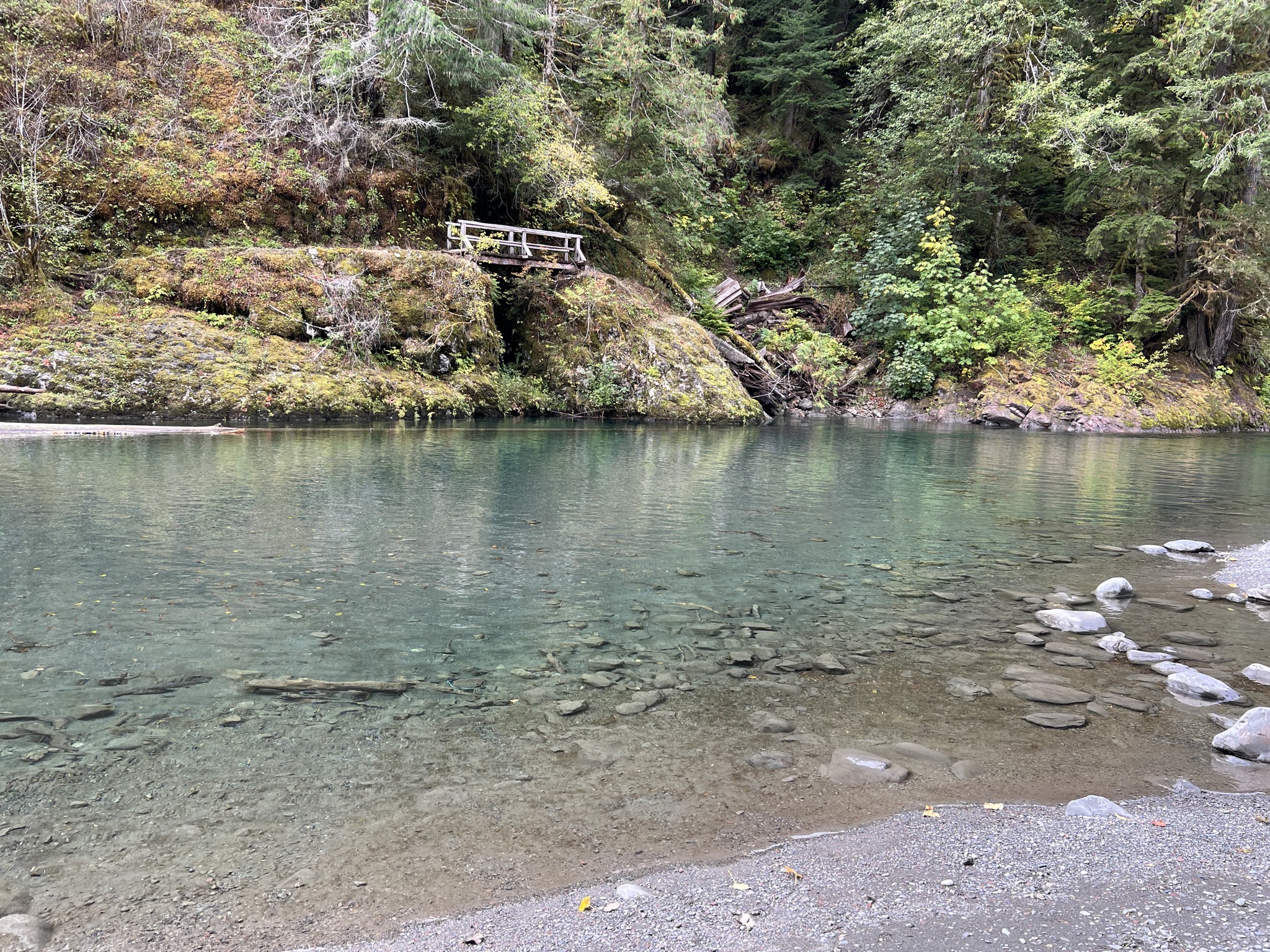 North Fork Skokomish River at Staircase