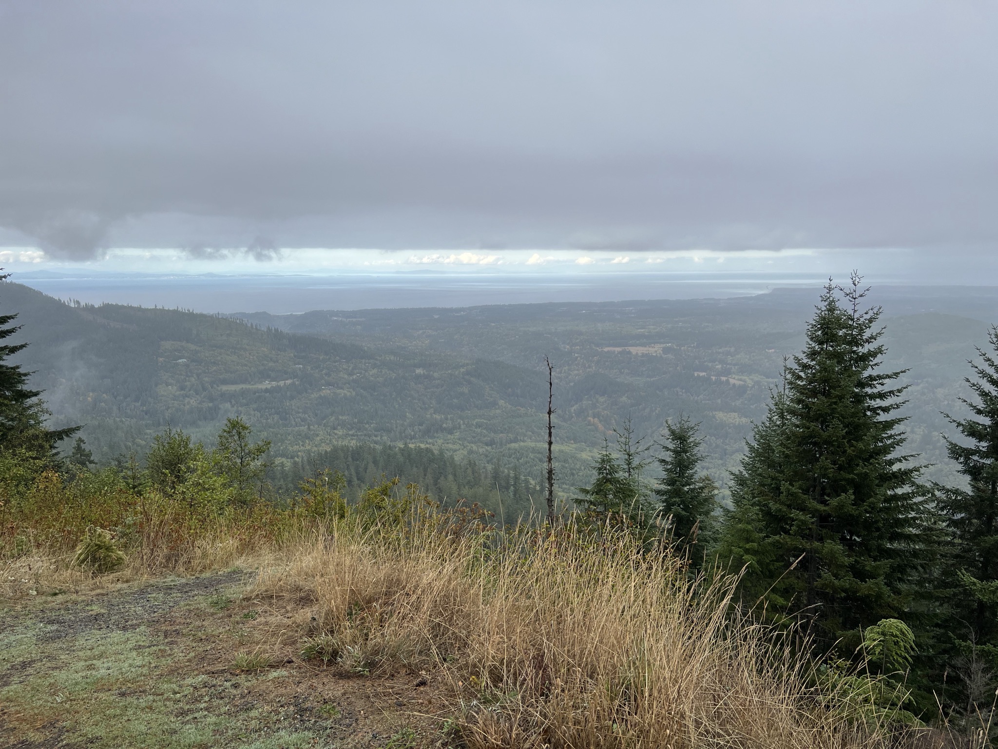Viewpoint on the road to Hurricane Ridge