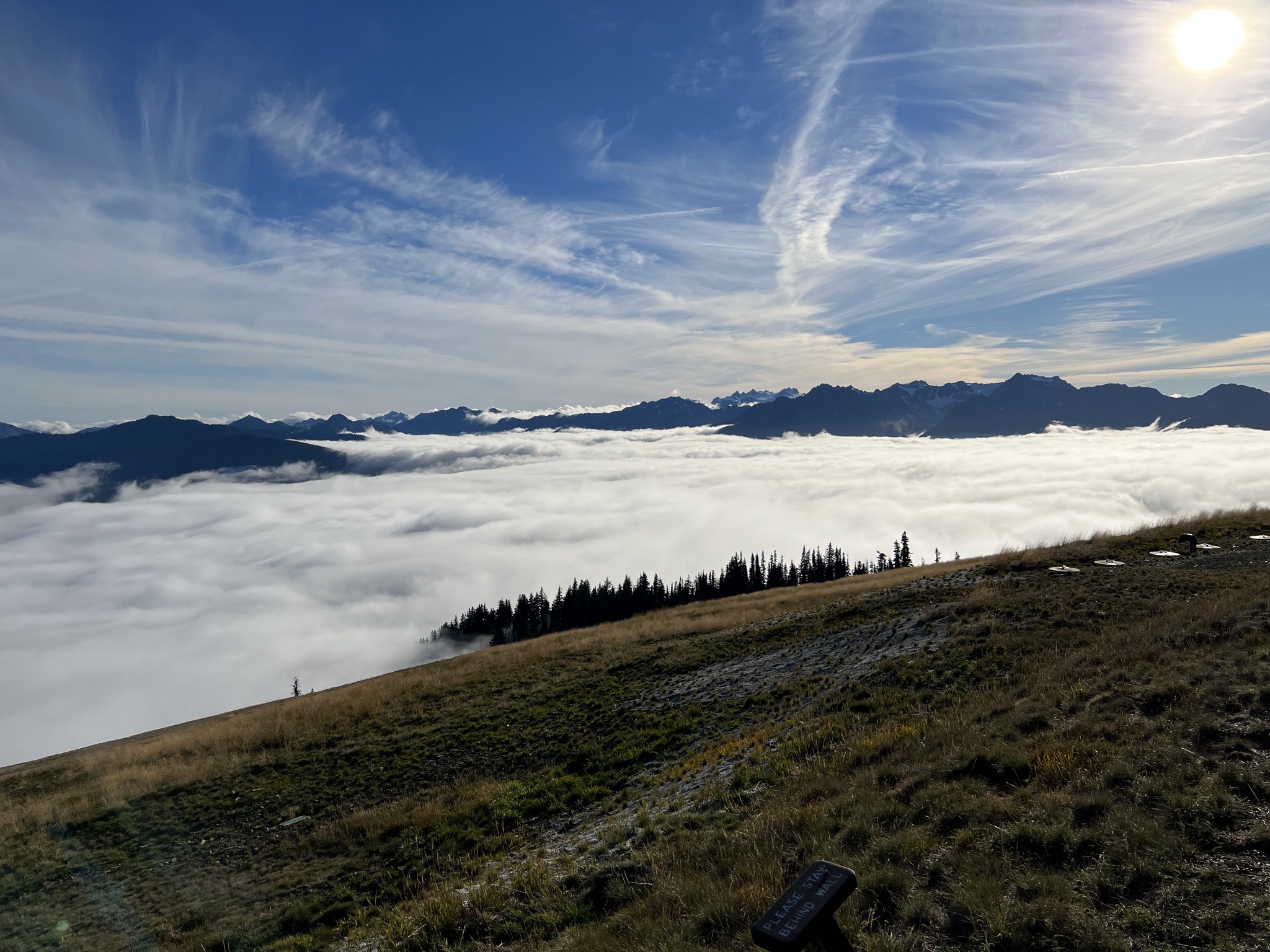 Above the clouds at Hurricane Ridge