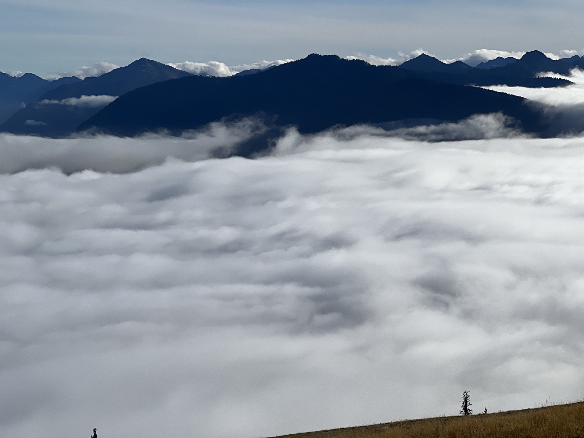 Above the clouds at Hurricane Ridge