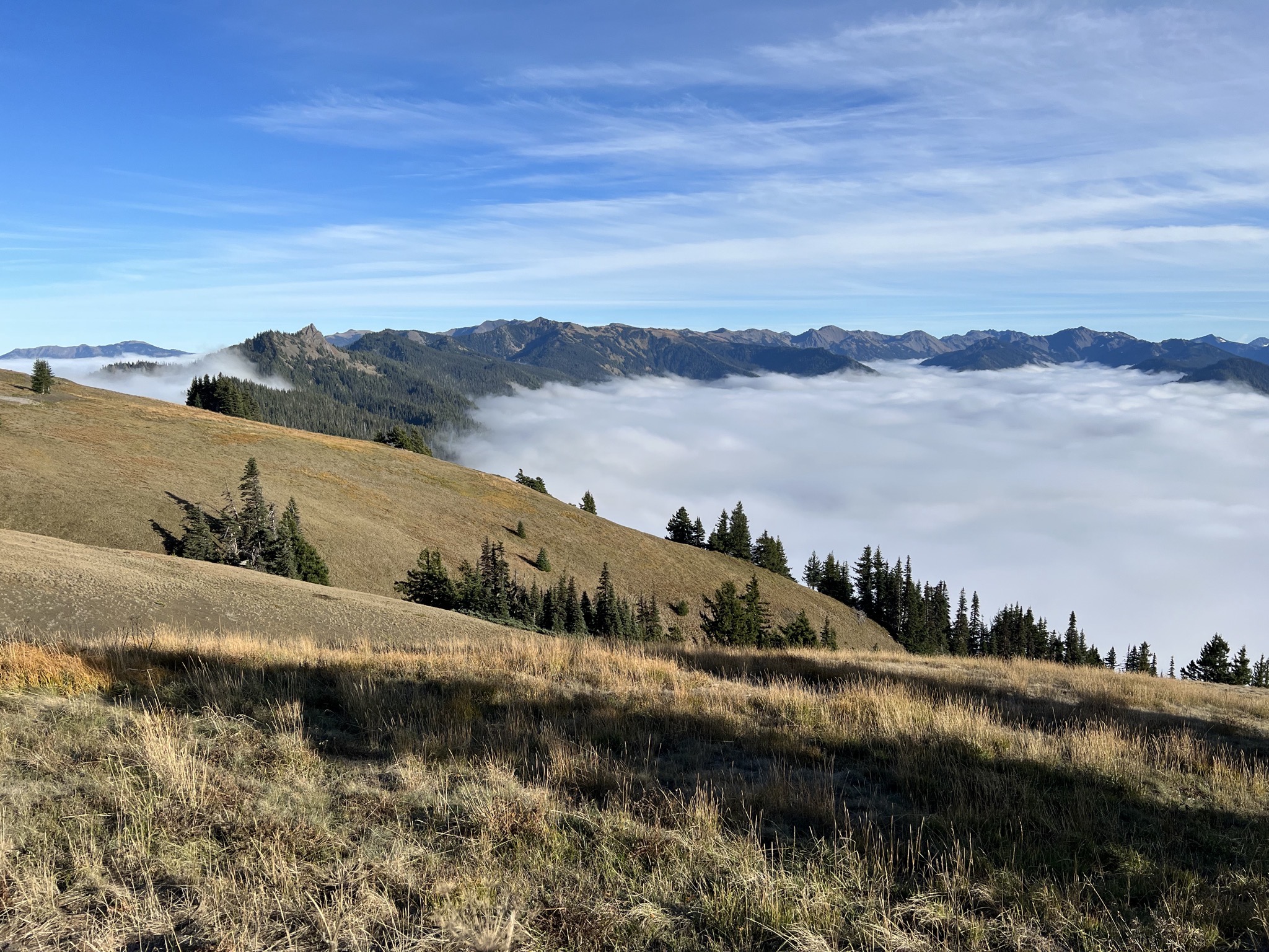 Above the clouds at Hurricane Ridge