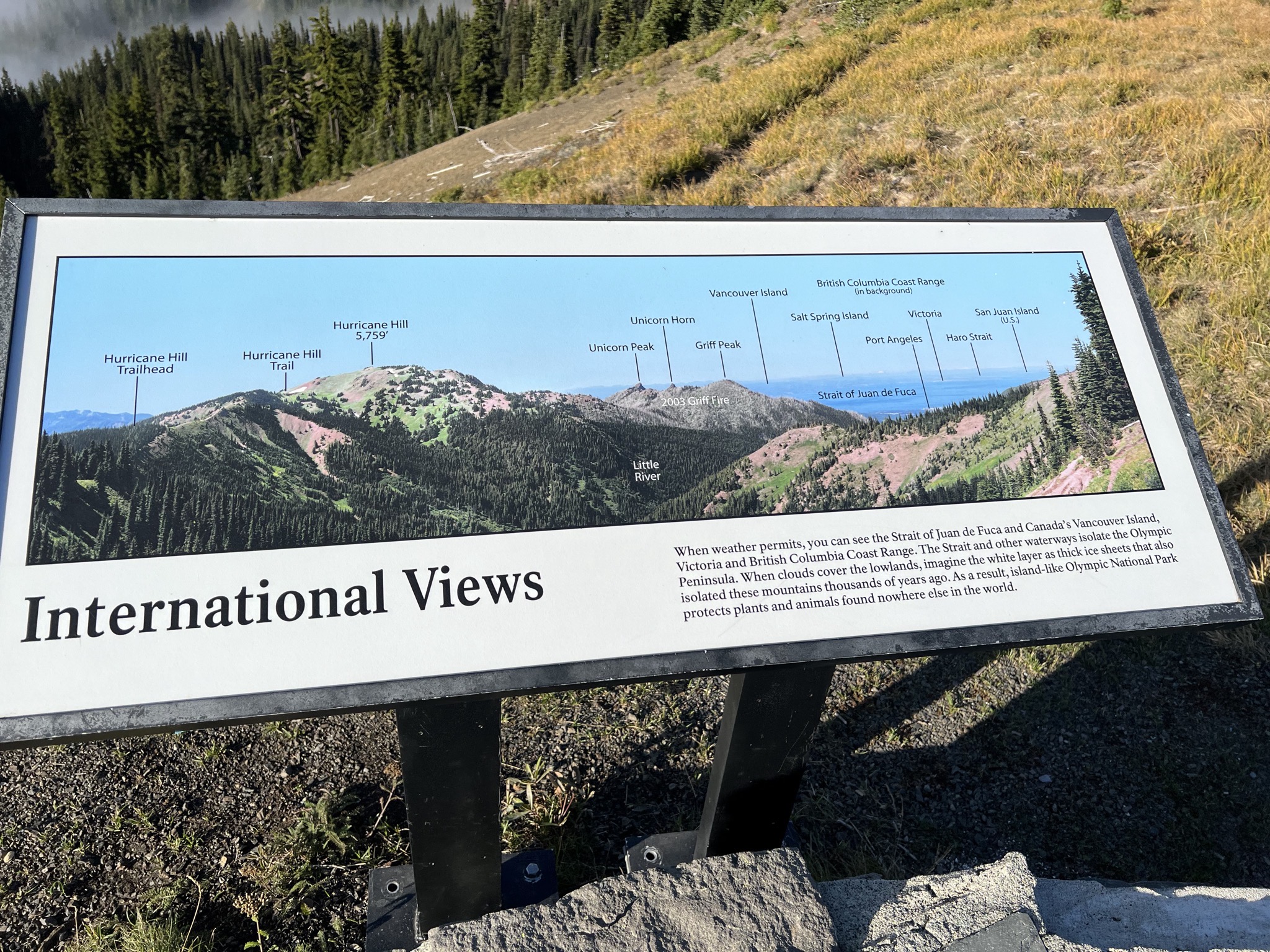 Info sign
