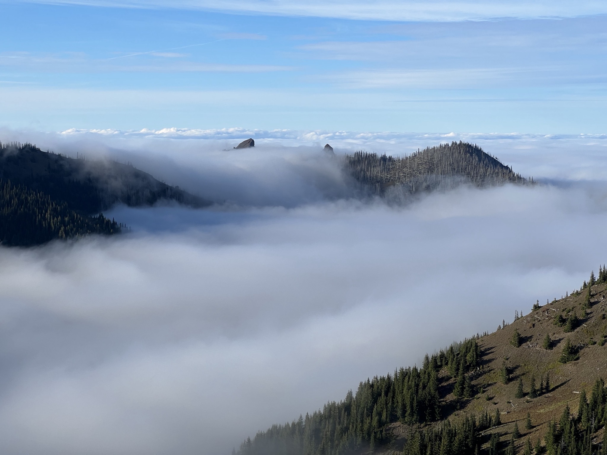 Above the clouds at Hurricane Ridge