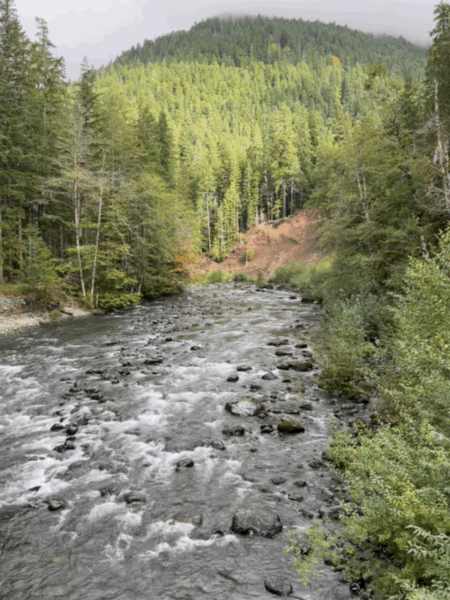 North Fork Skokomish River at Staircase