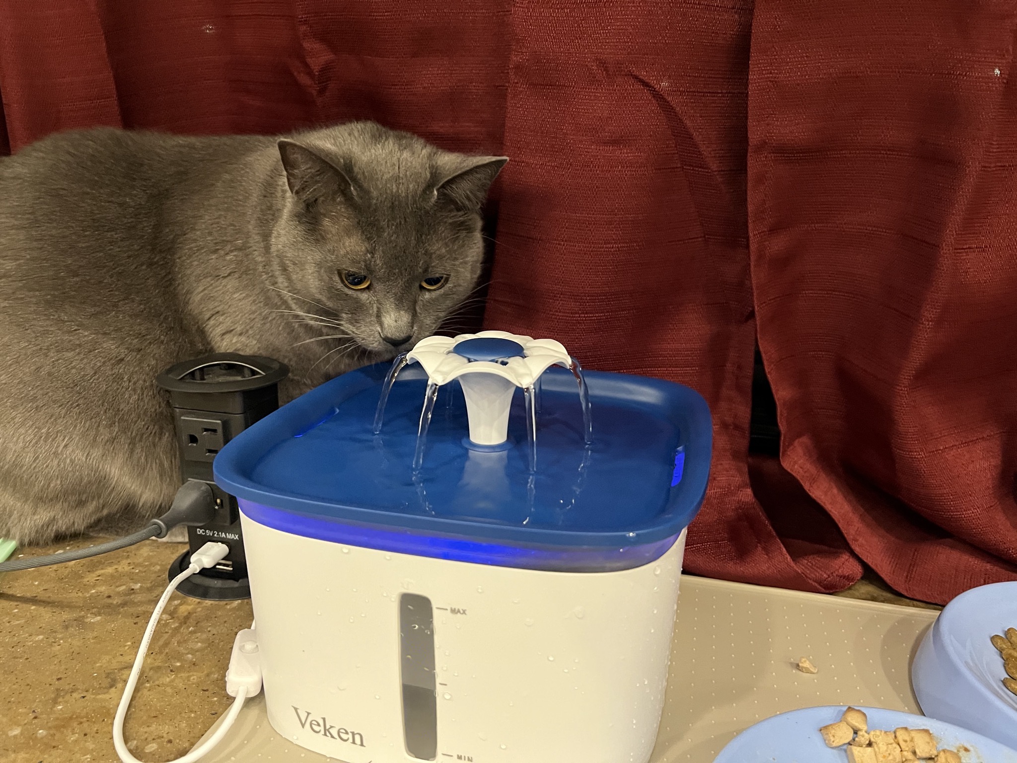 Paladin drinking from new water fountain