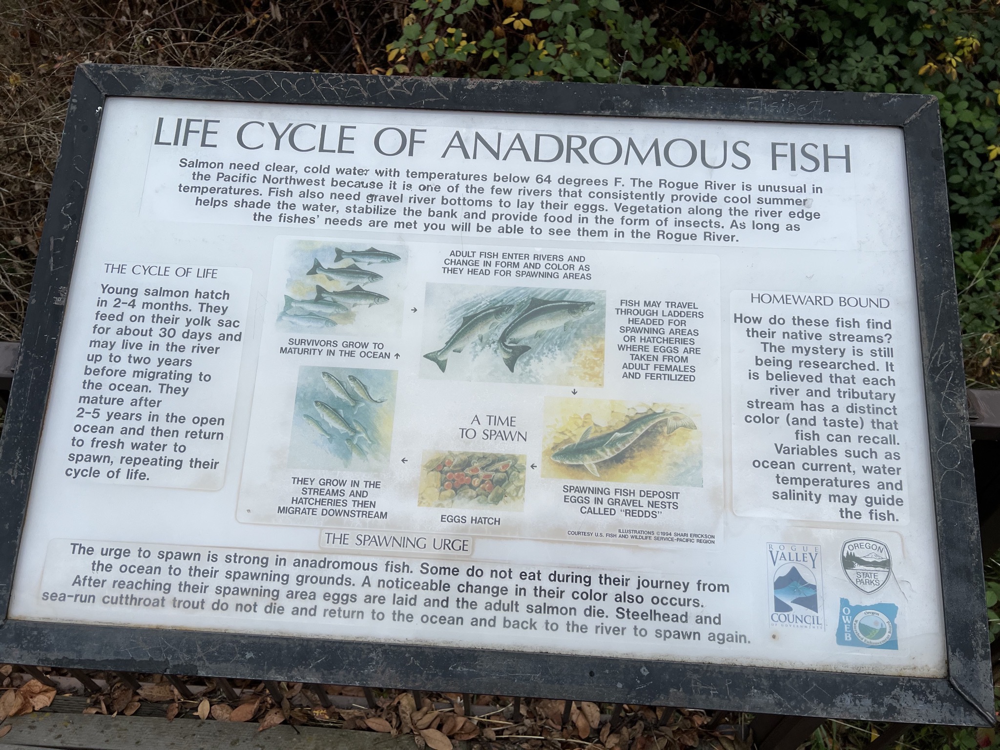 Info sign