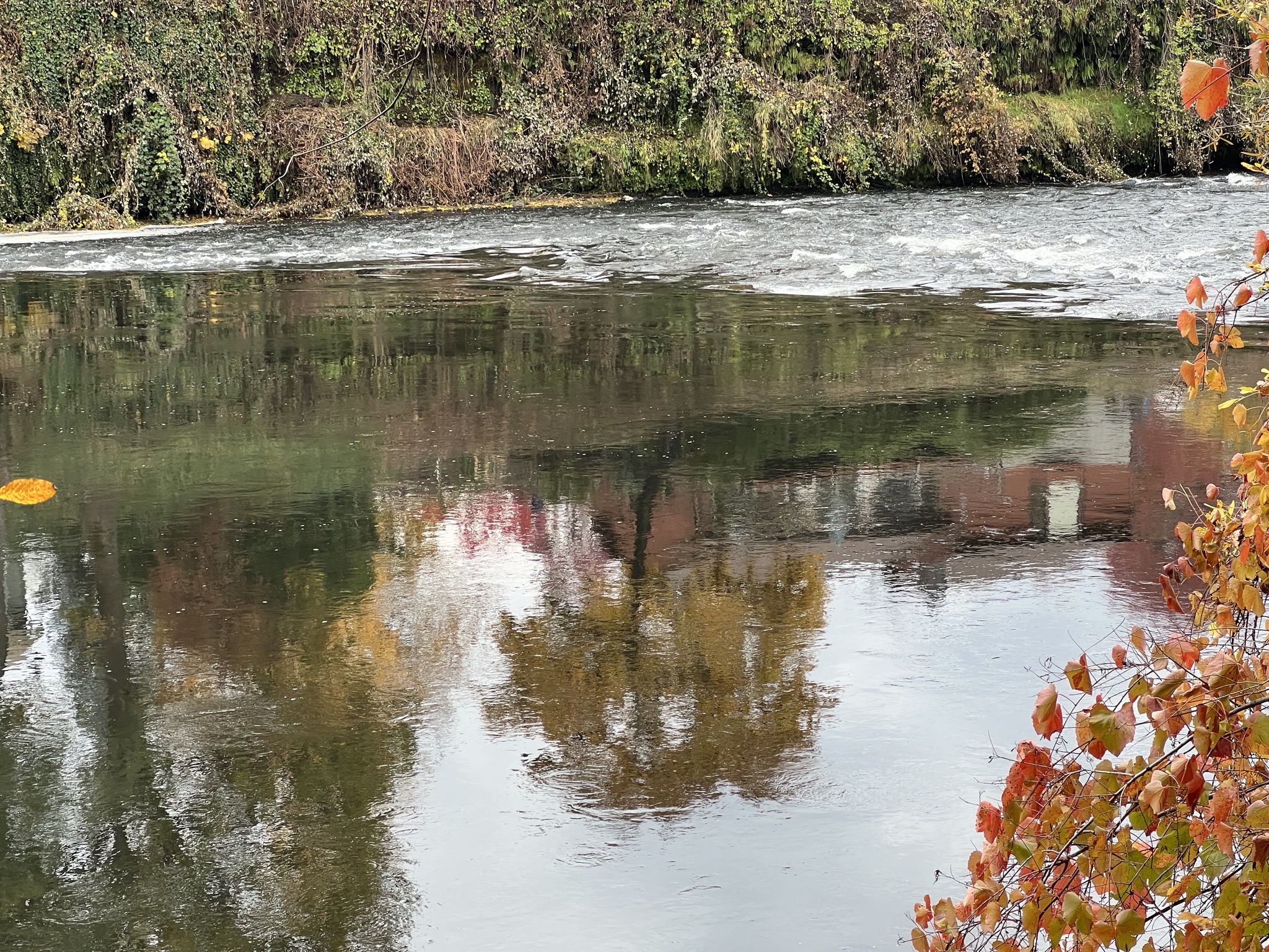 Rogue River