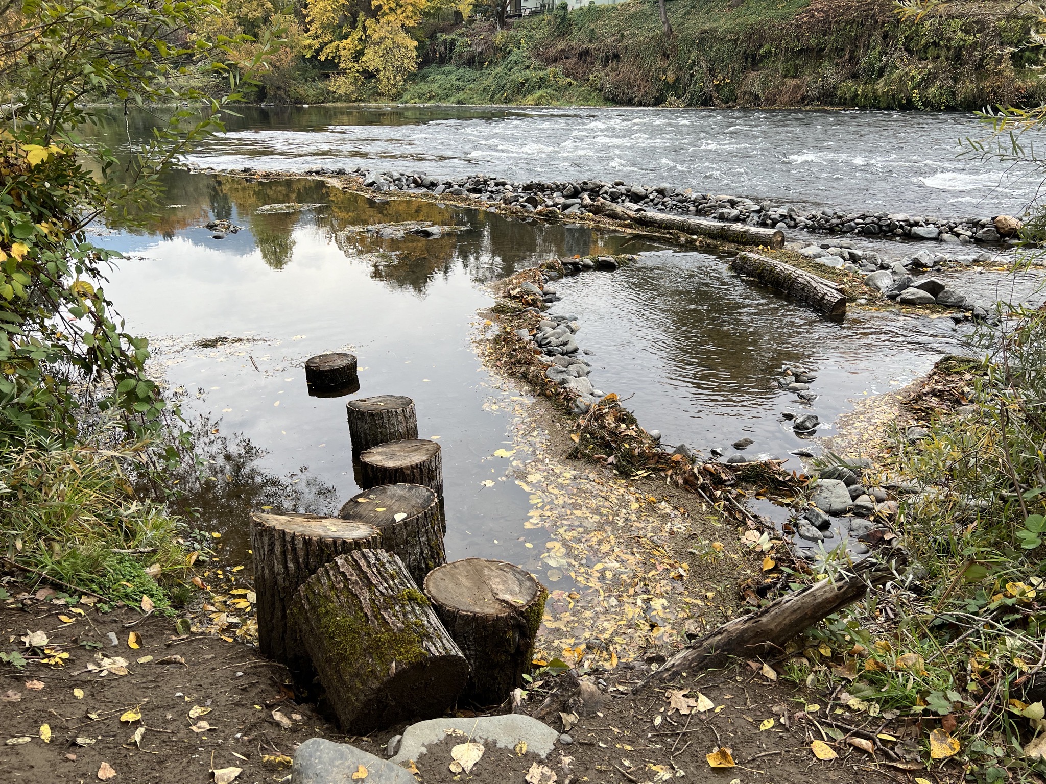 Rogue River