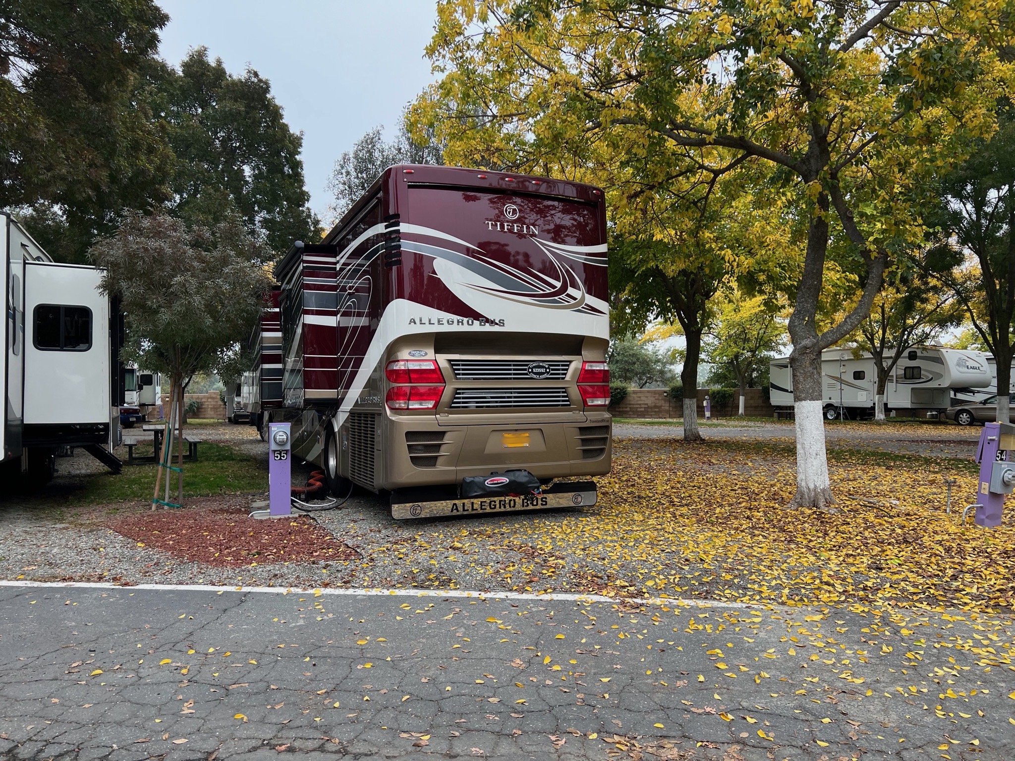 Coach in campsite