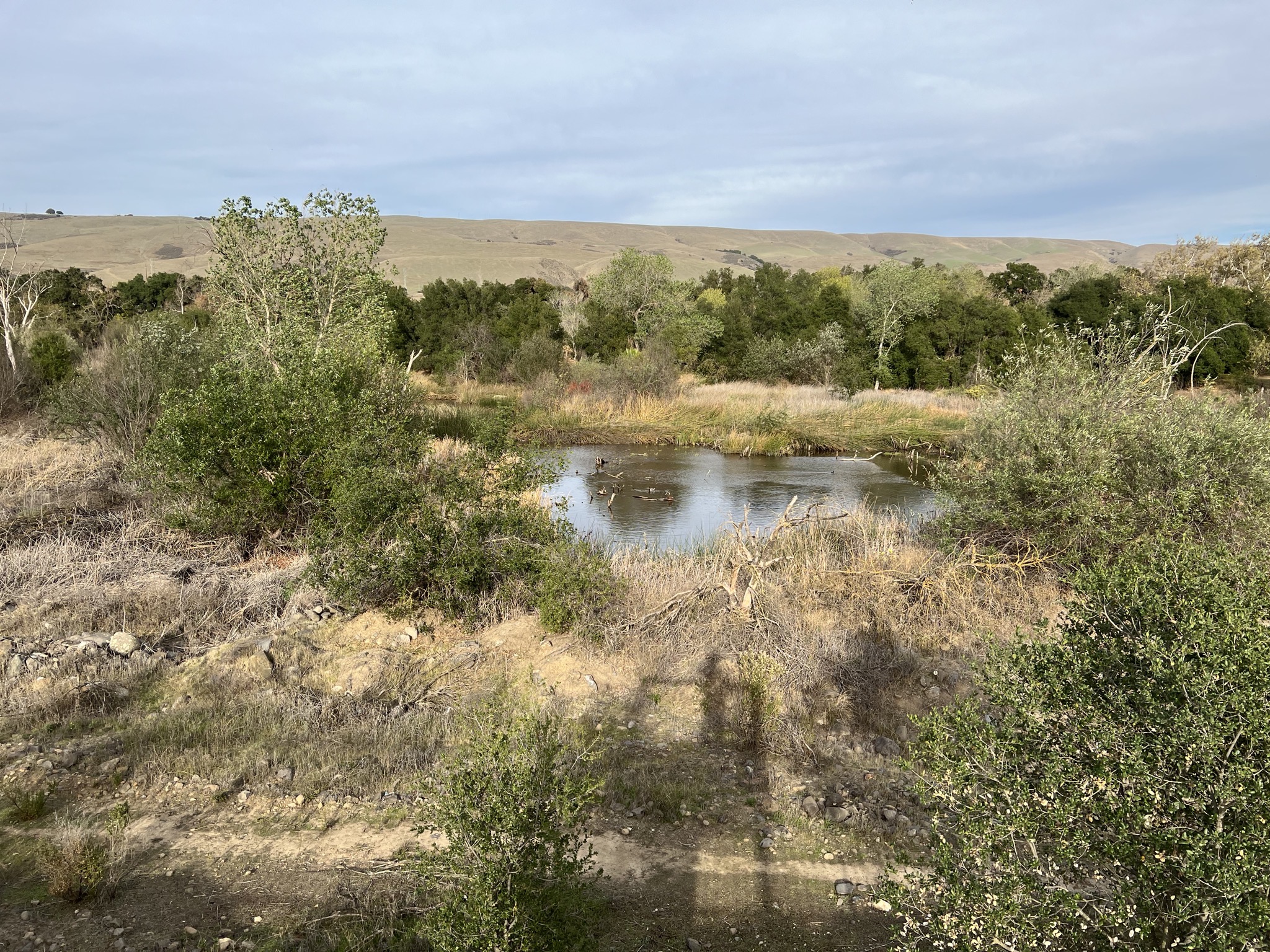 Wilderness area