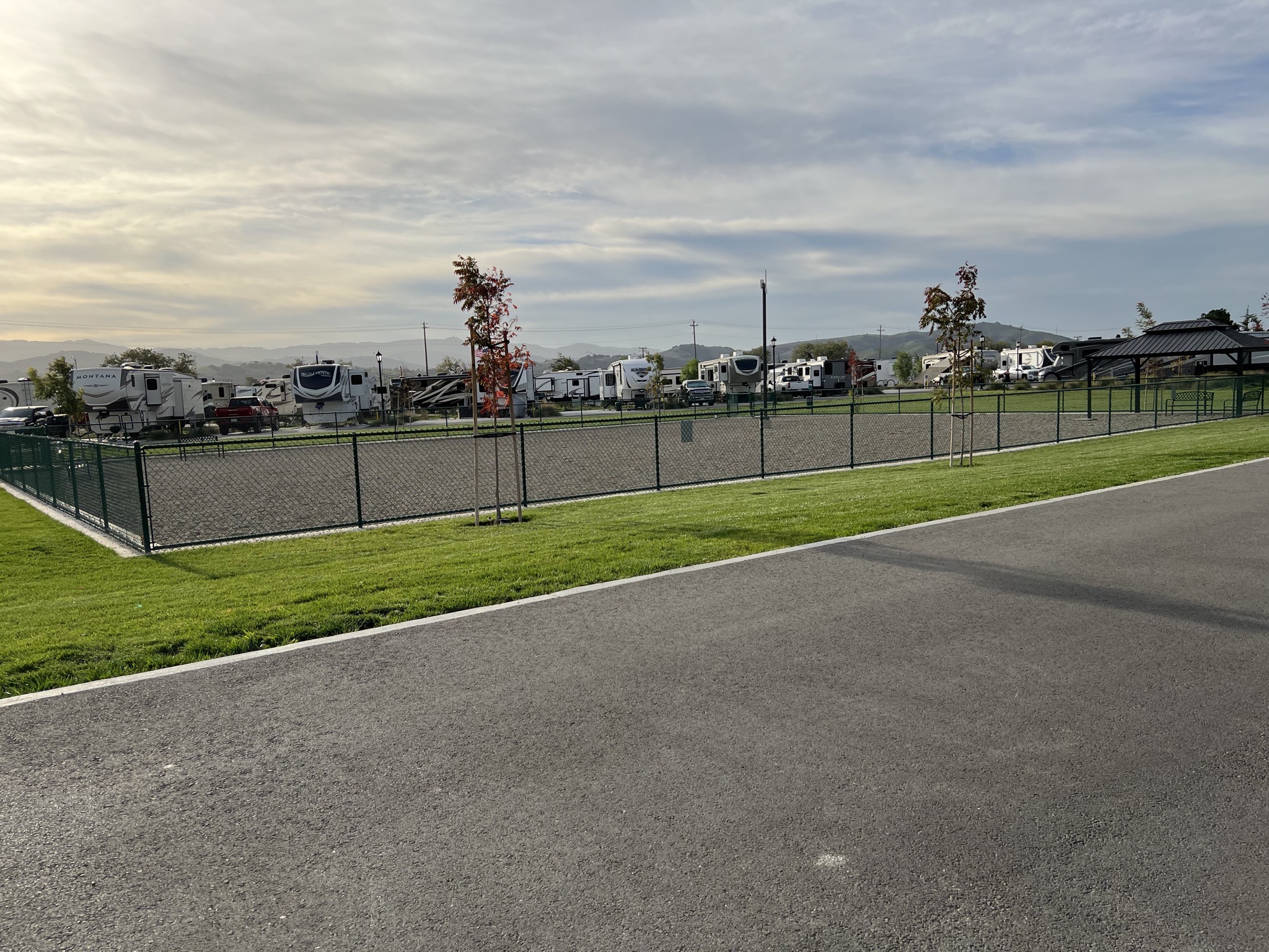 Dog park