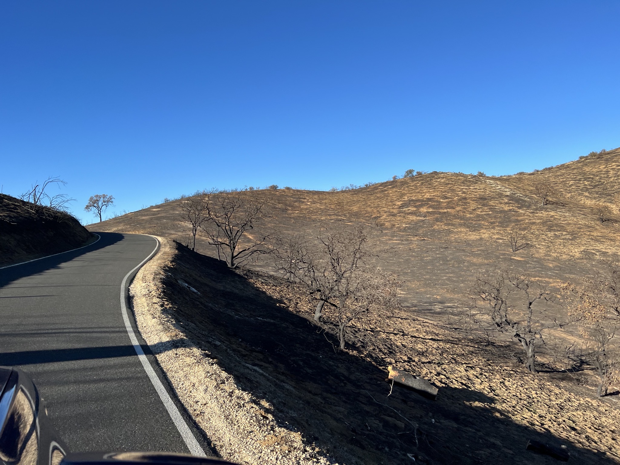 Burnt area