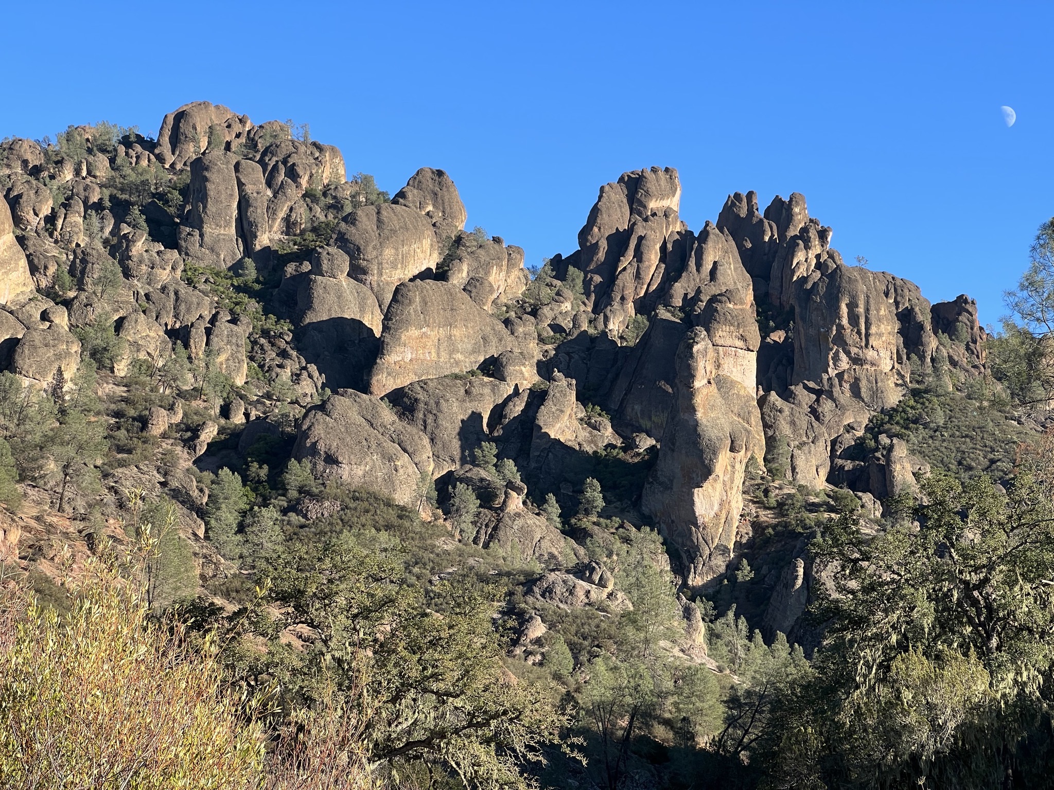 Rocks