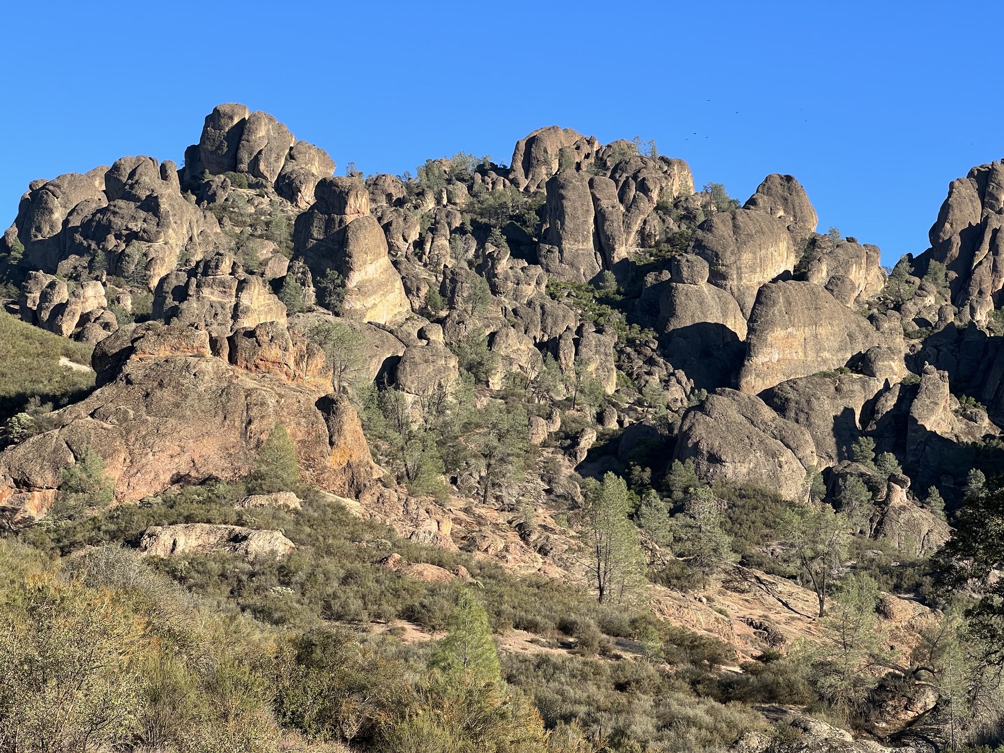 Rocks