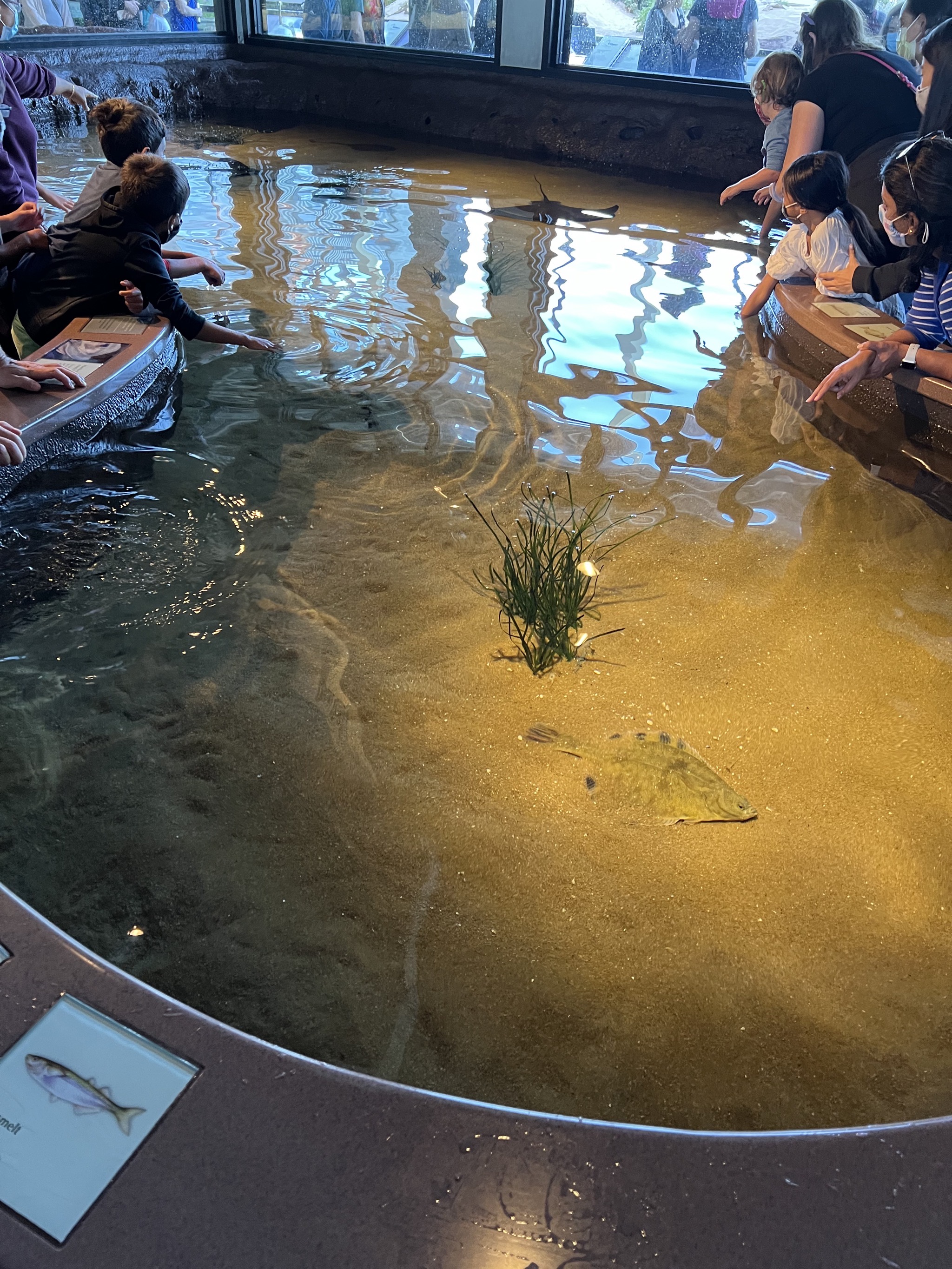 Interactive exhibit