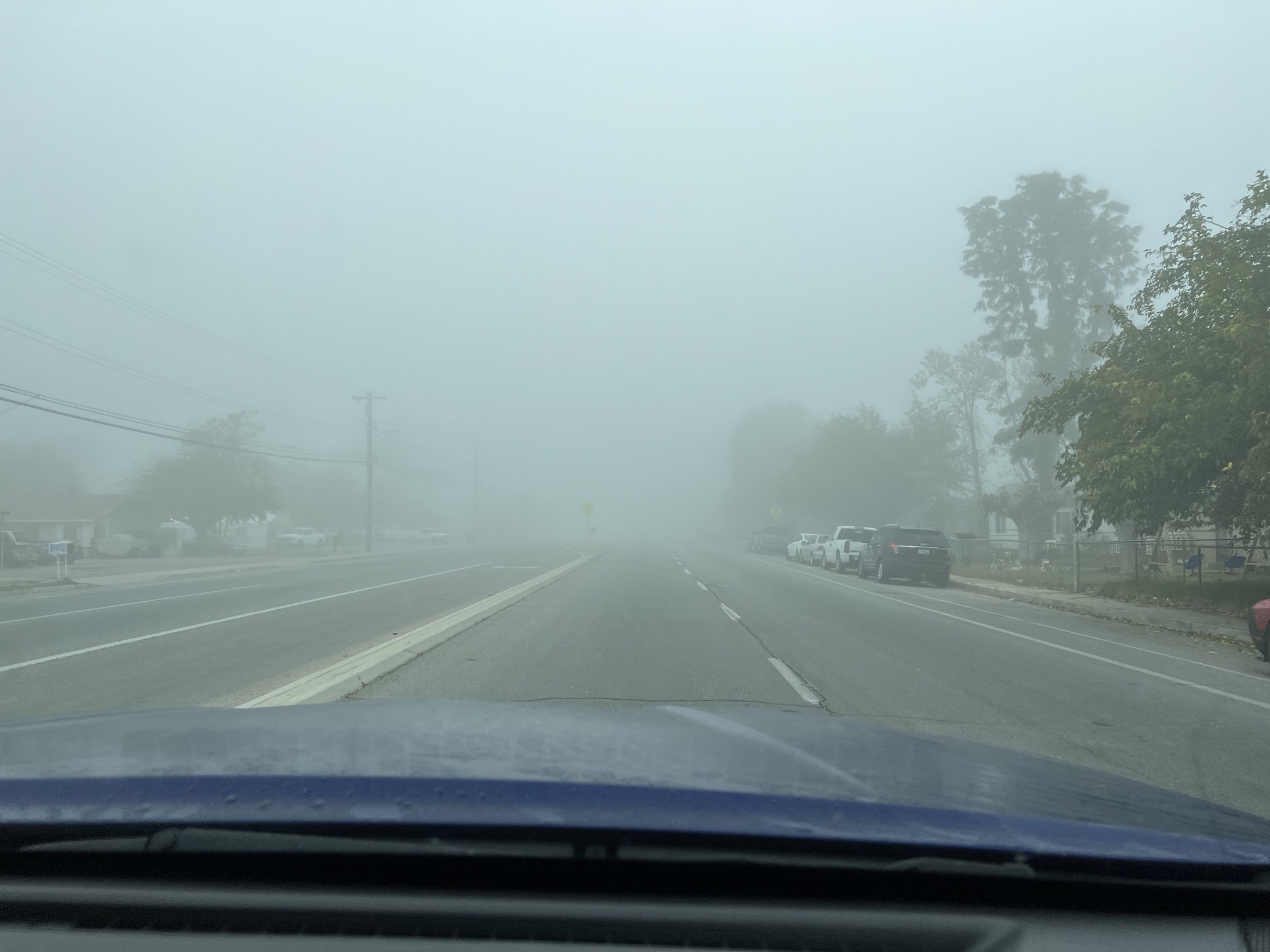 Fog