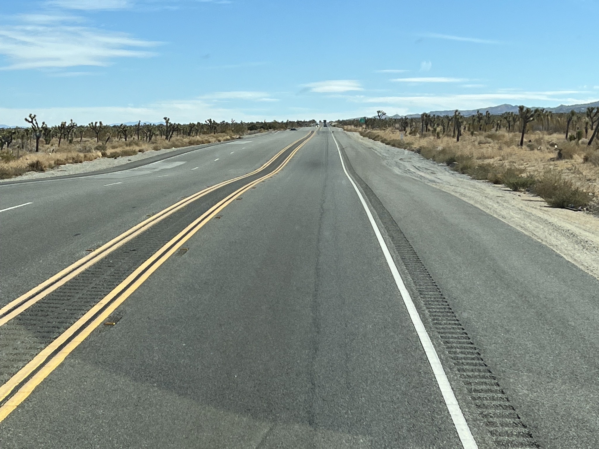 Desert road with lots of dips, and Joshua trees