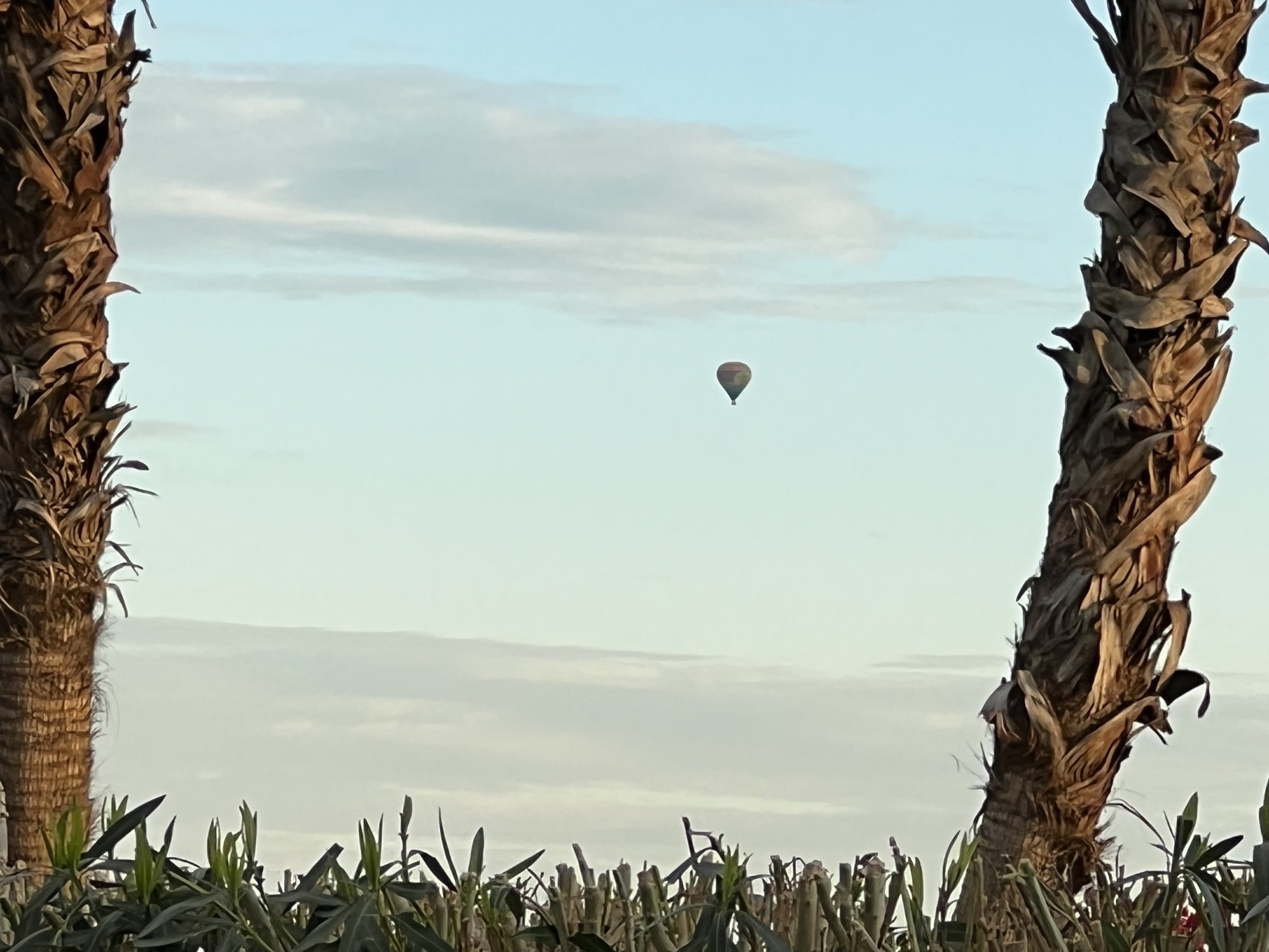 Hot air balloon