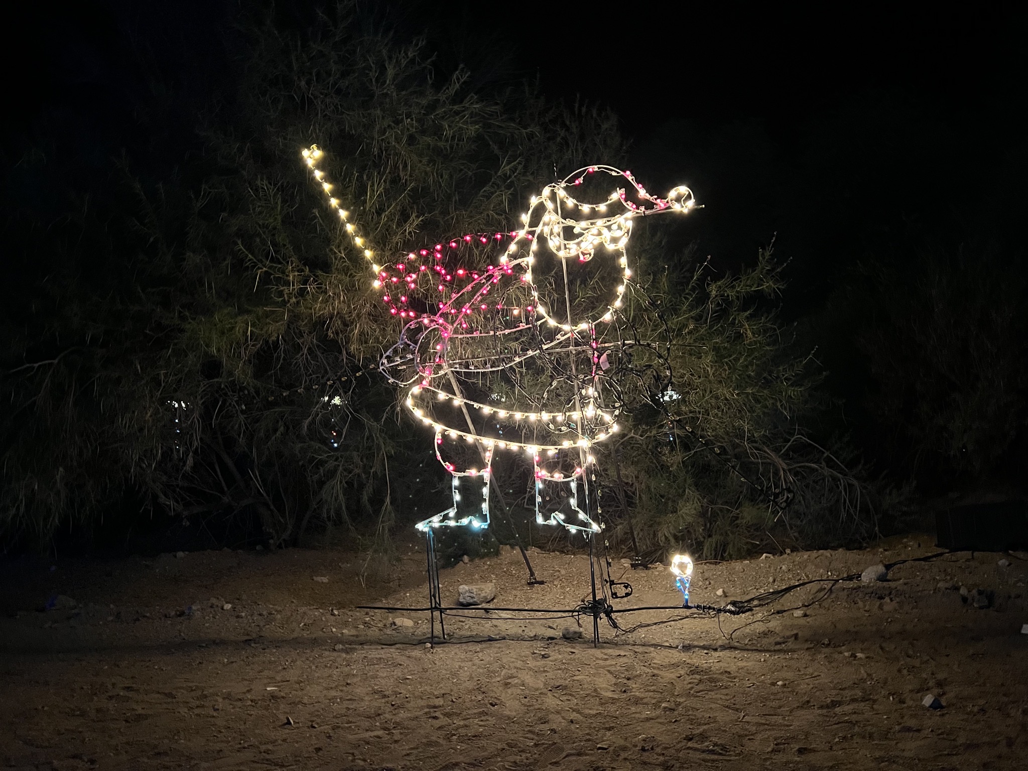 Holiday lights