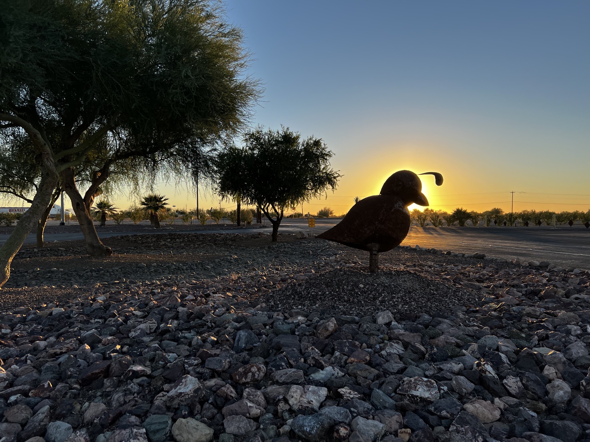 Quail sculpture