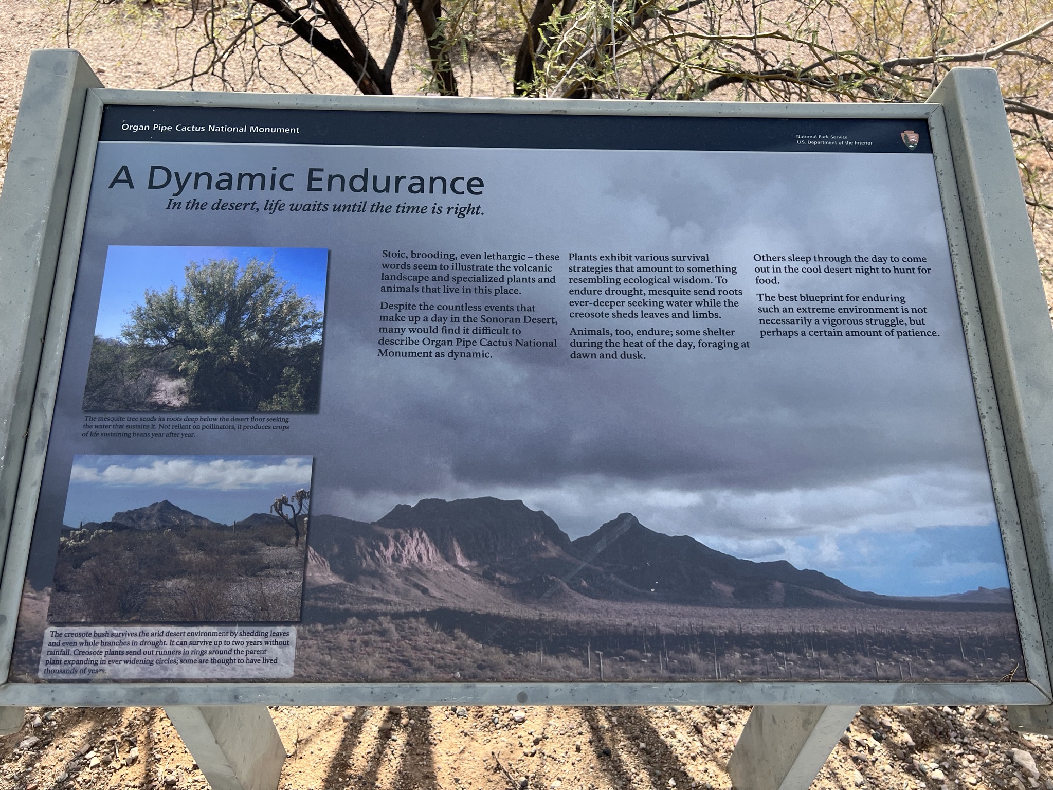 Info sign