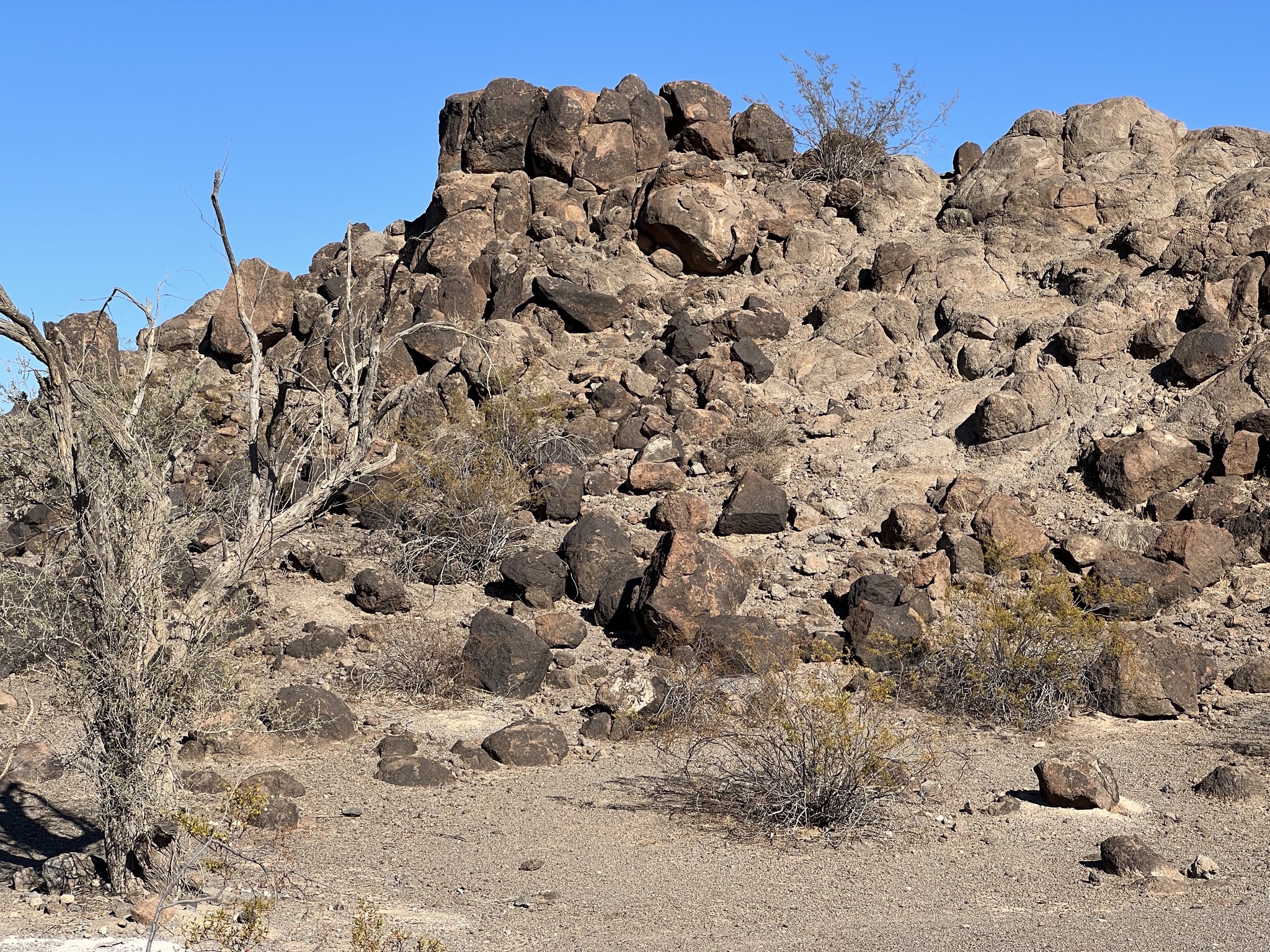 Petroglyph rocks