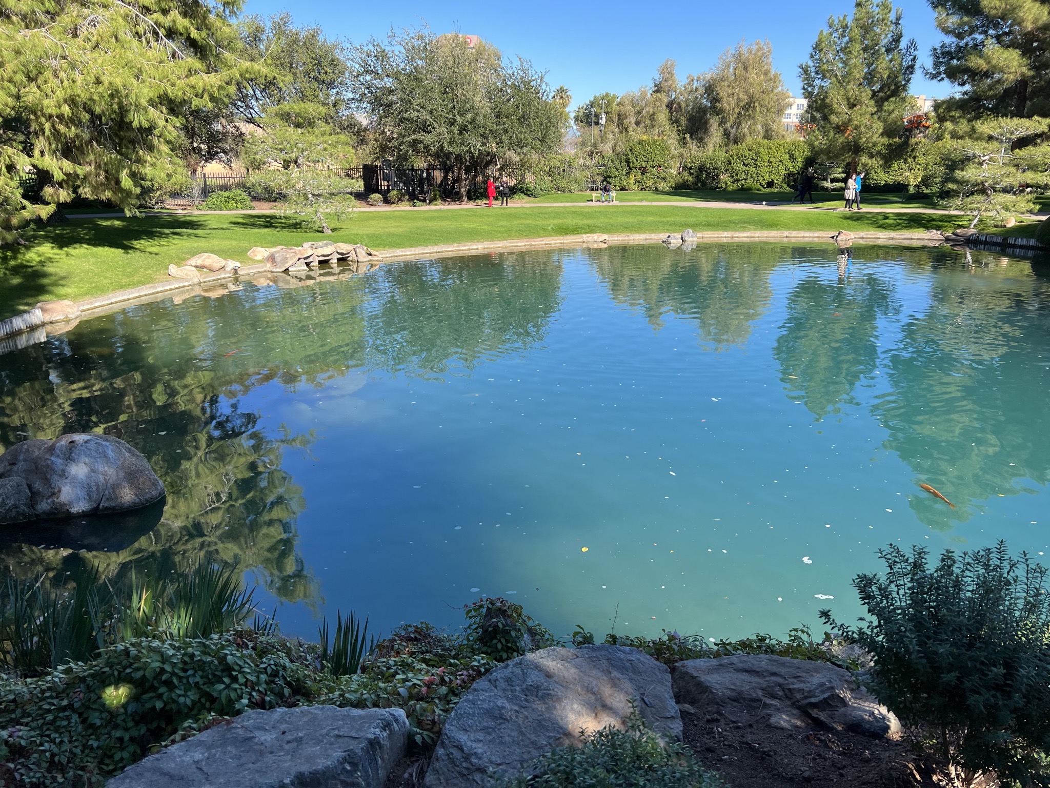 Pond