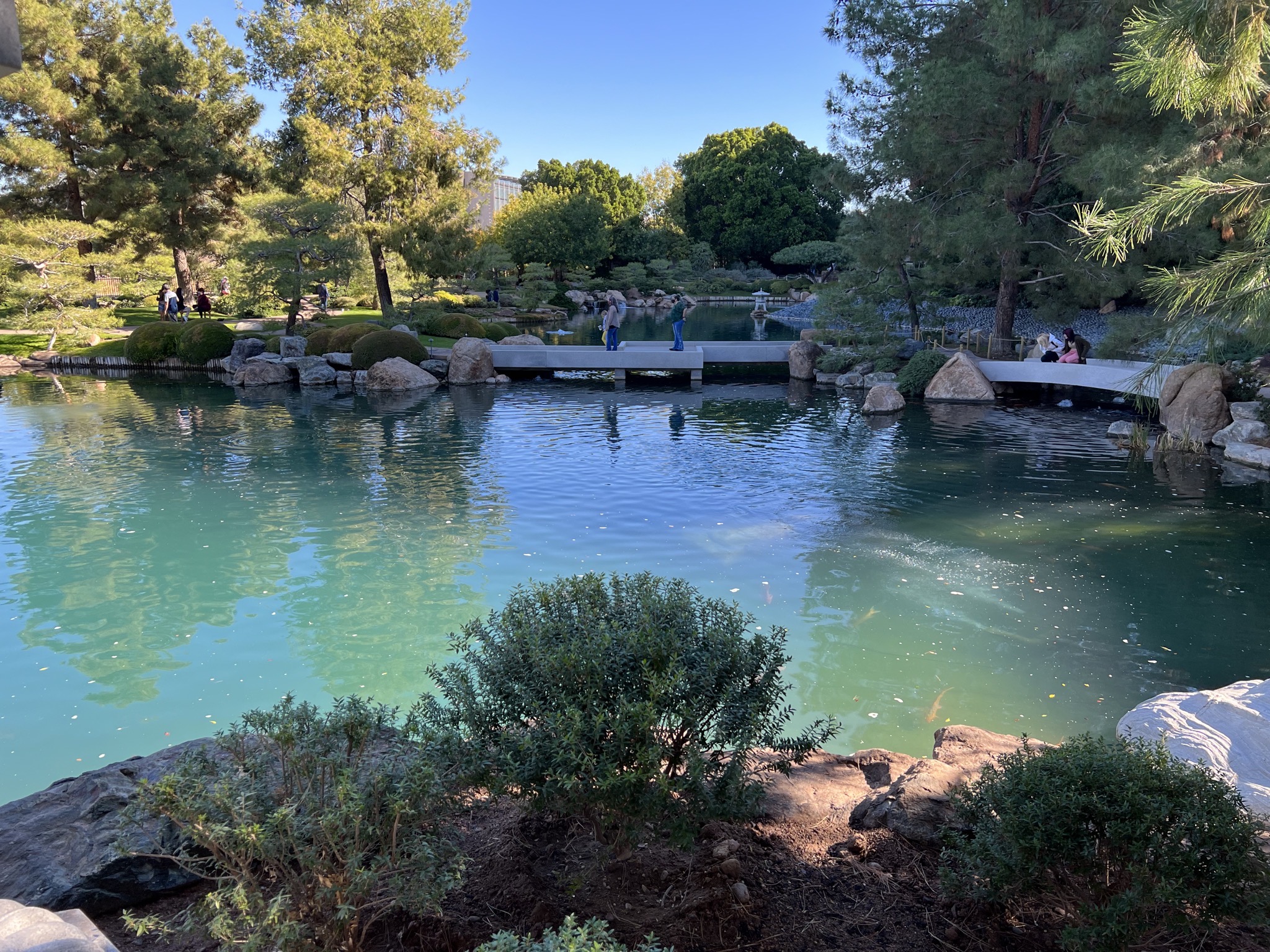 Pond