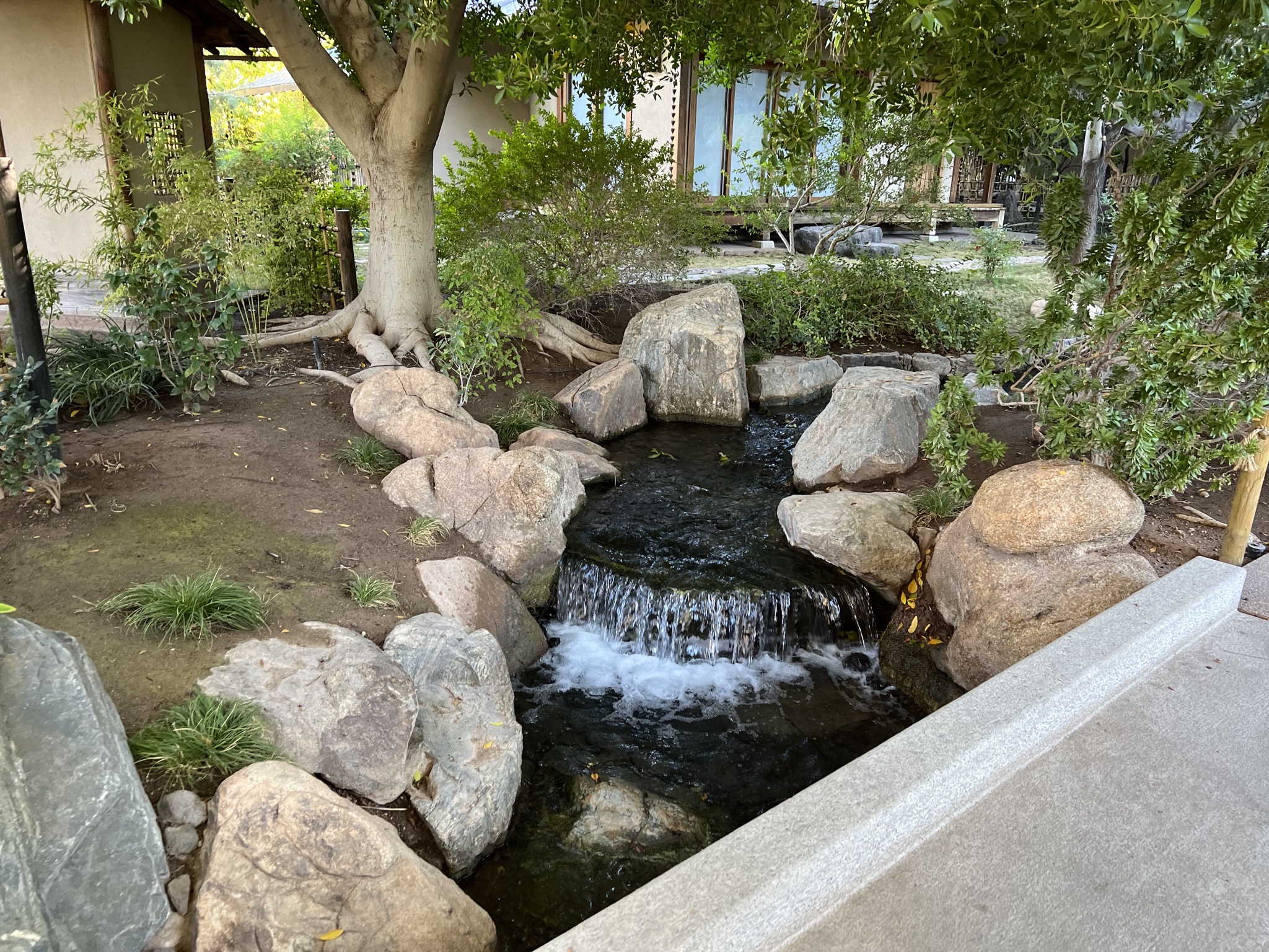 Stream