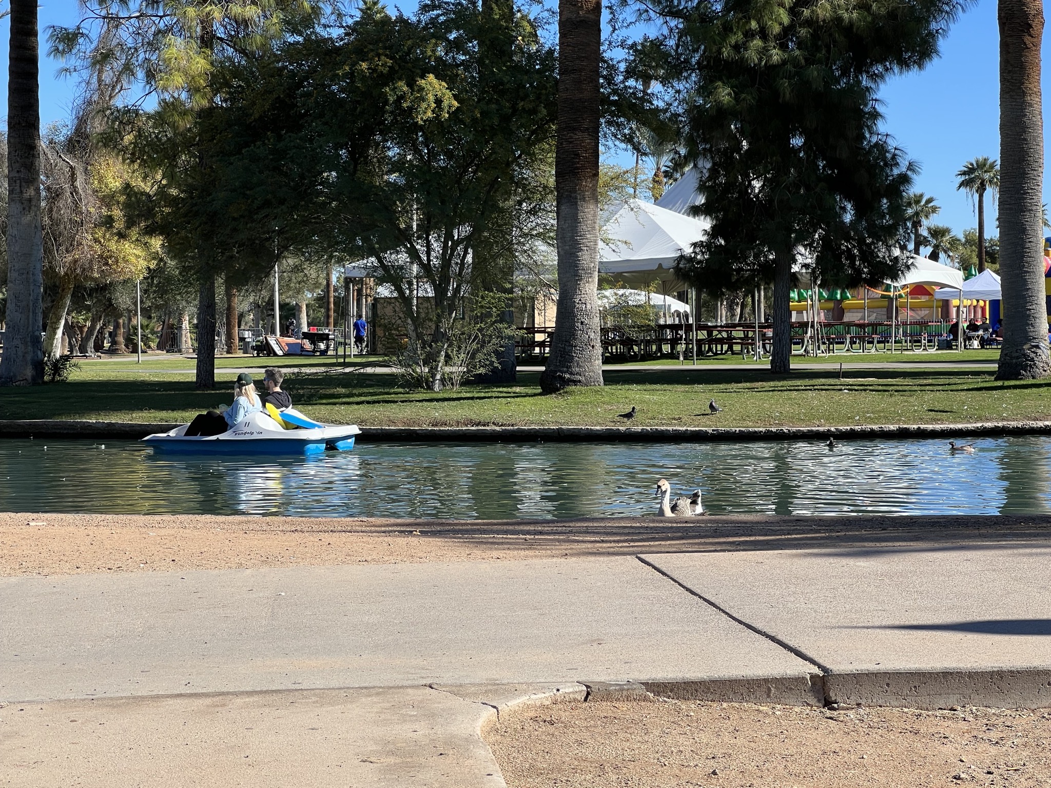 Pedal boat