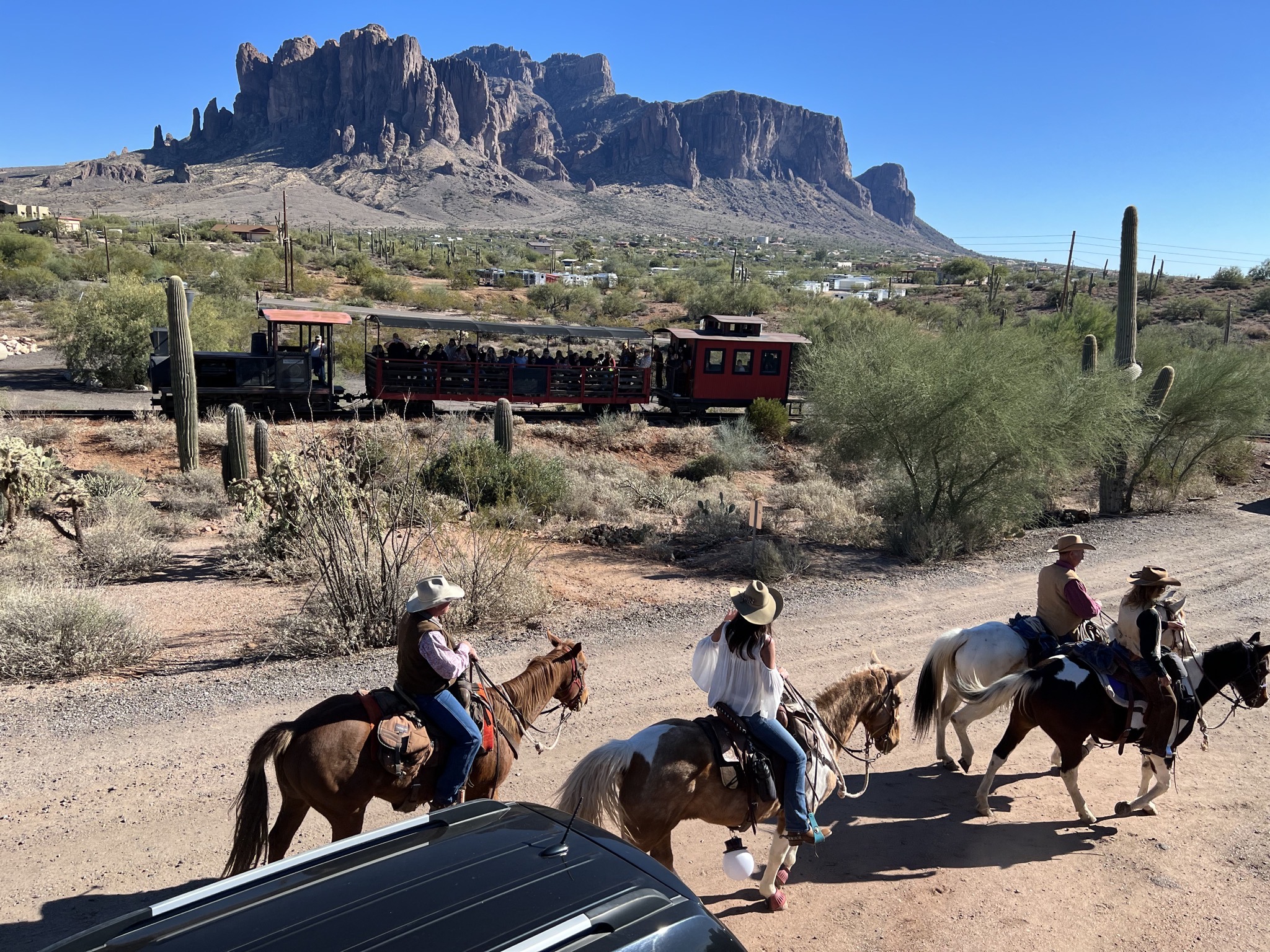 Horses and train