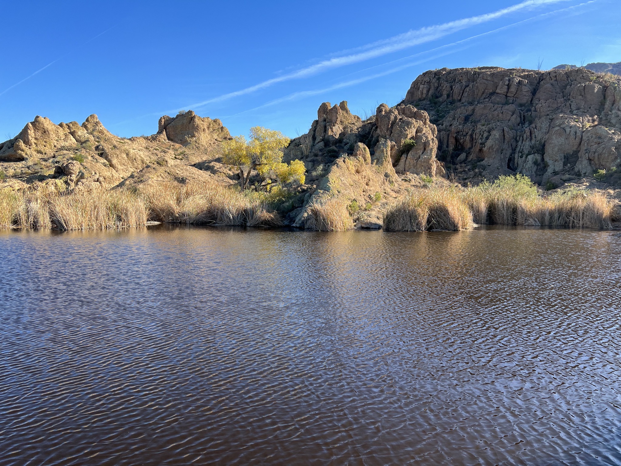 Pond