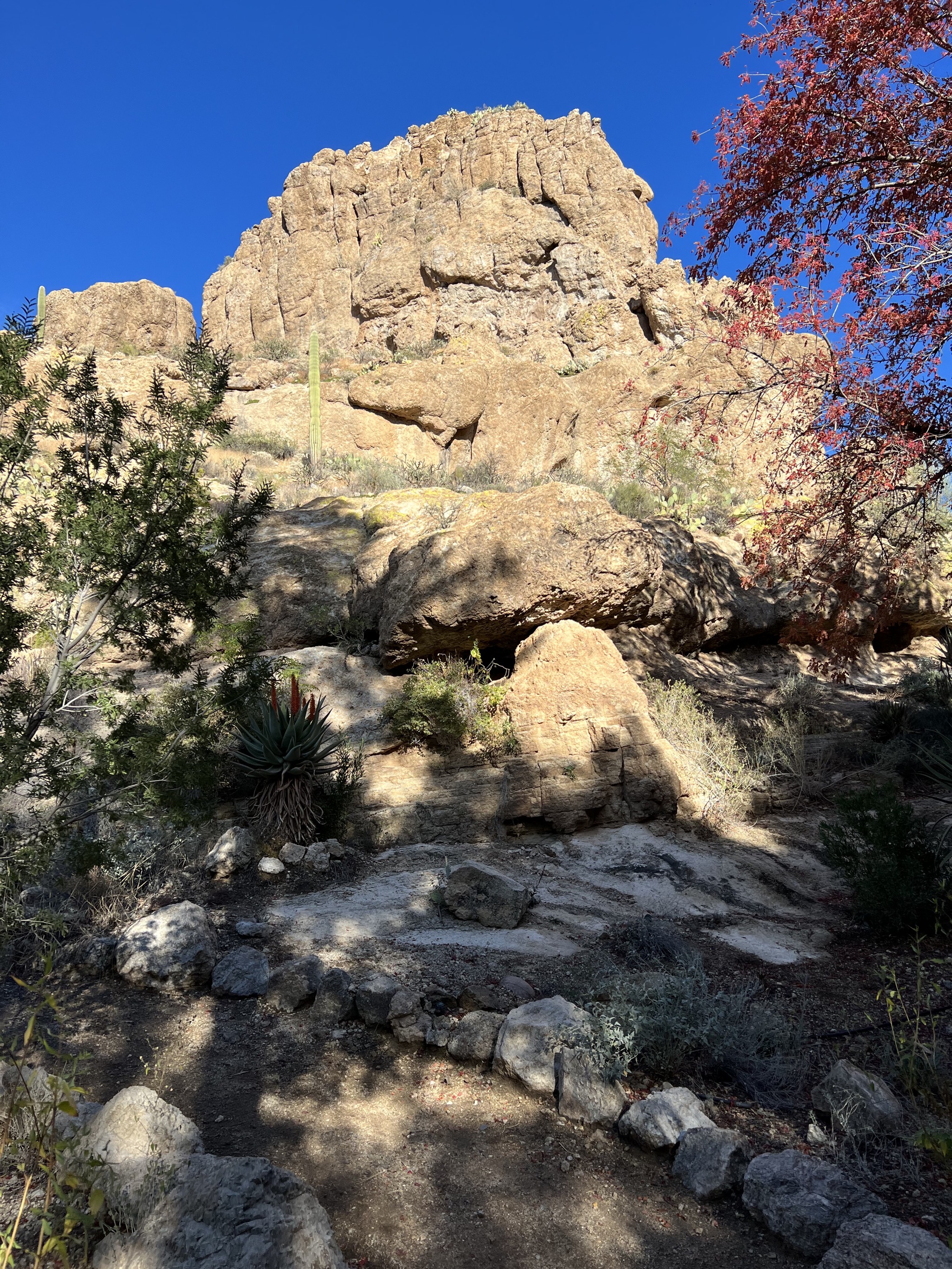 Rocks
