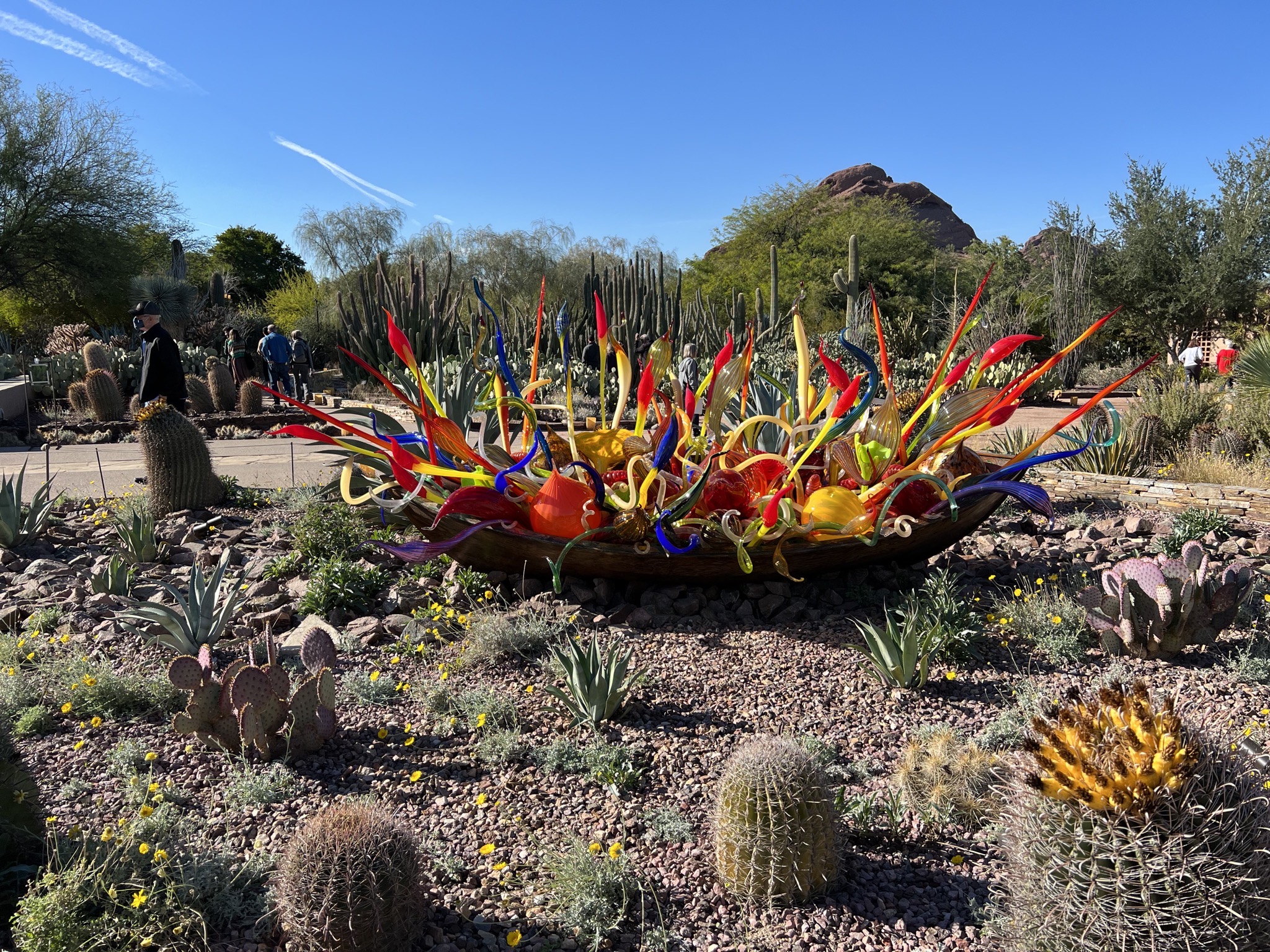 Chihuly