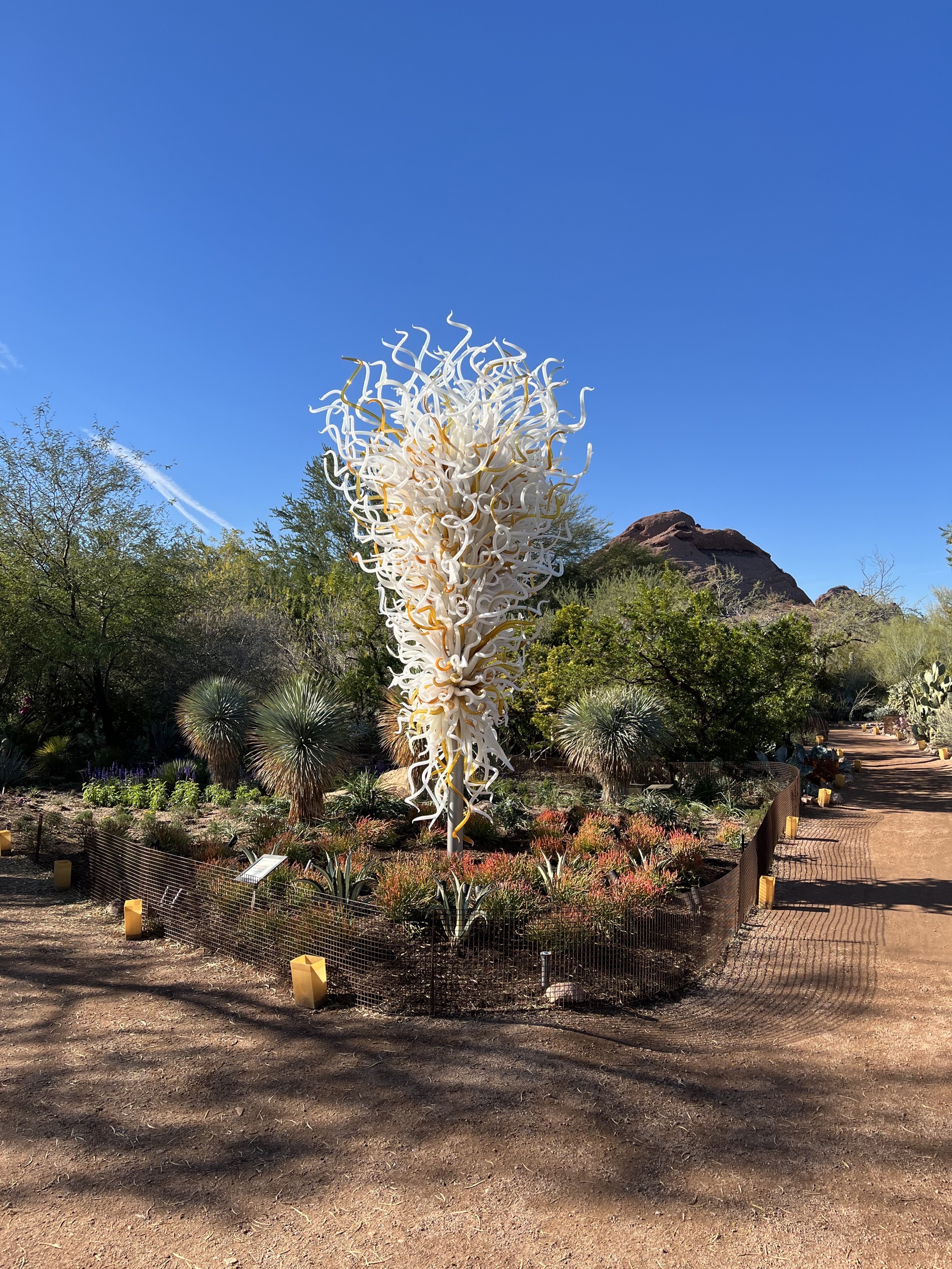 Chihuly