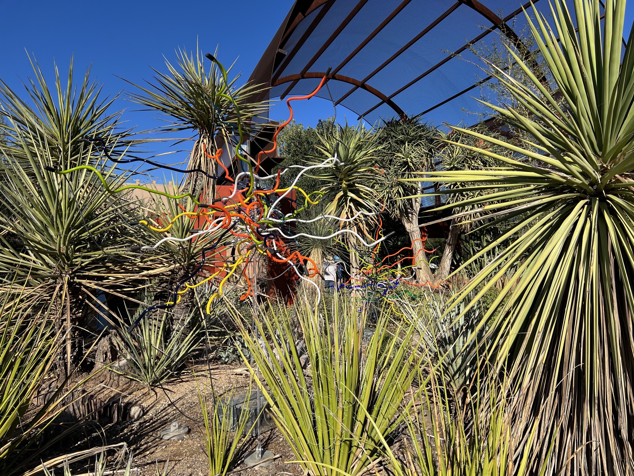Chihuly