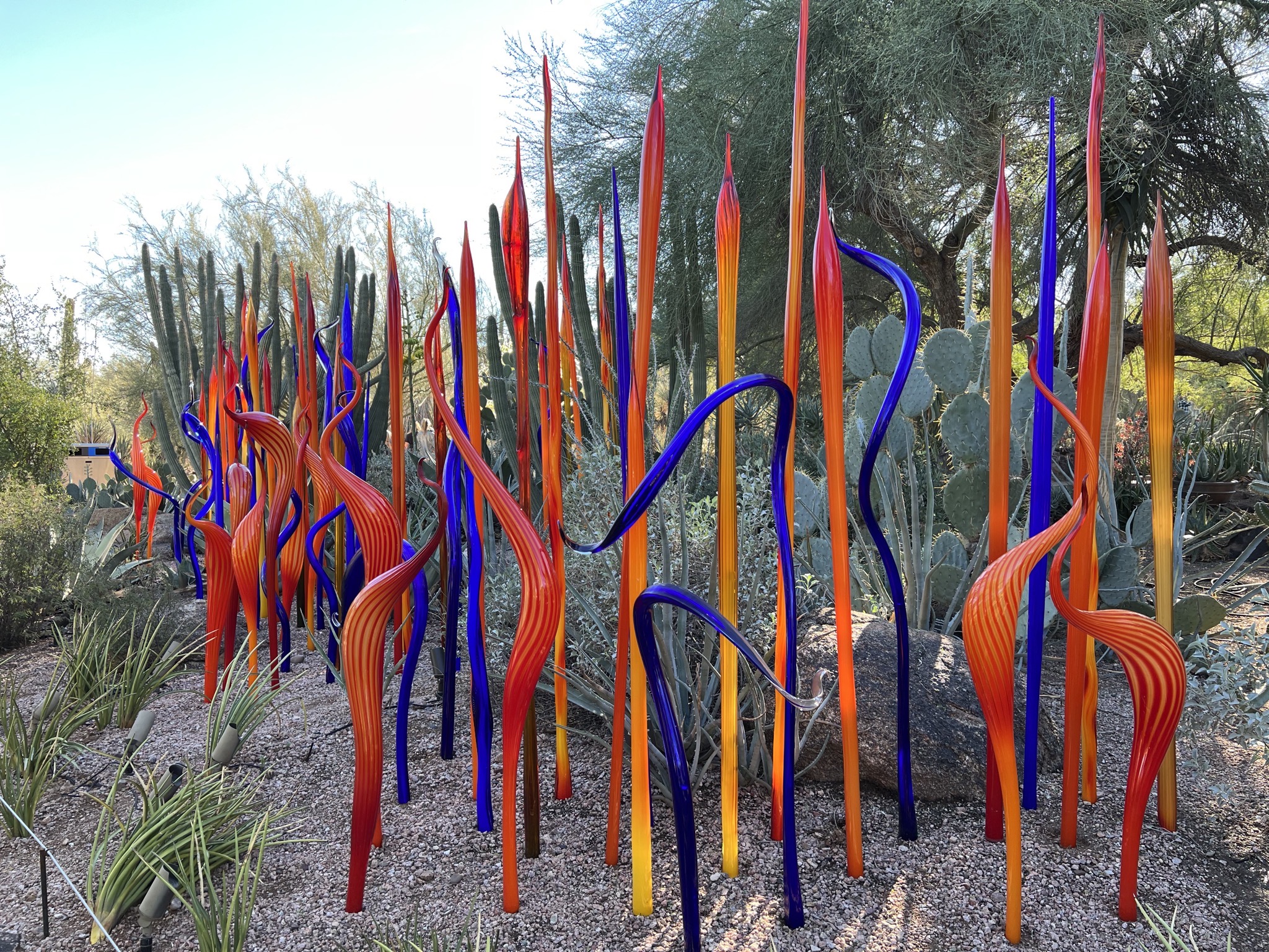 Chihuly