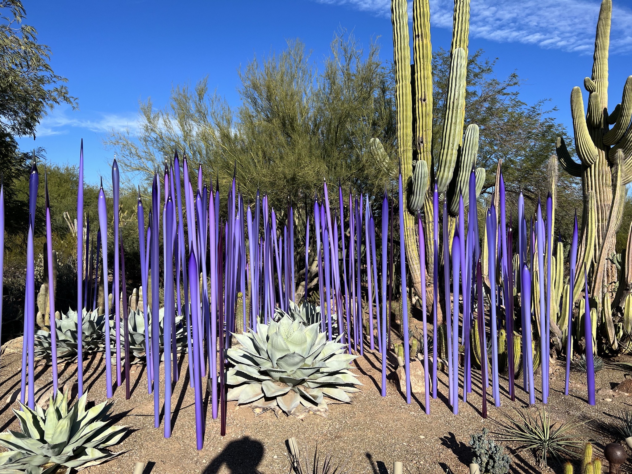Chihuly