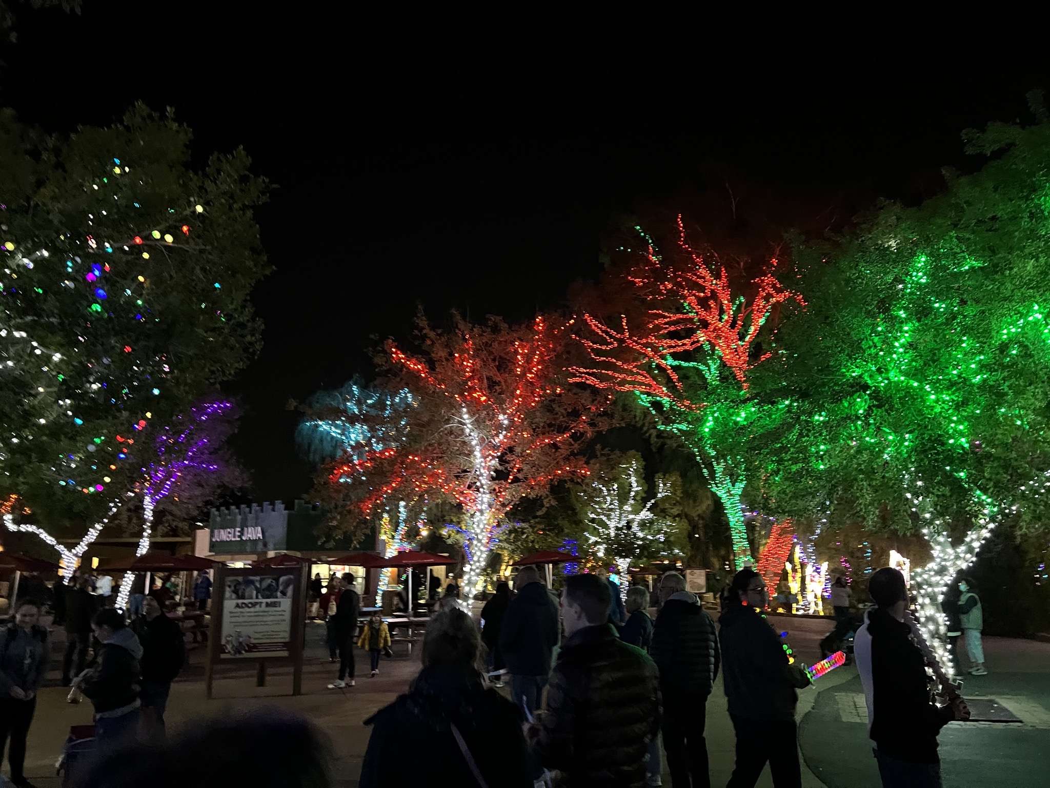 Zoo lights