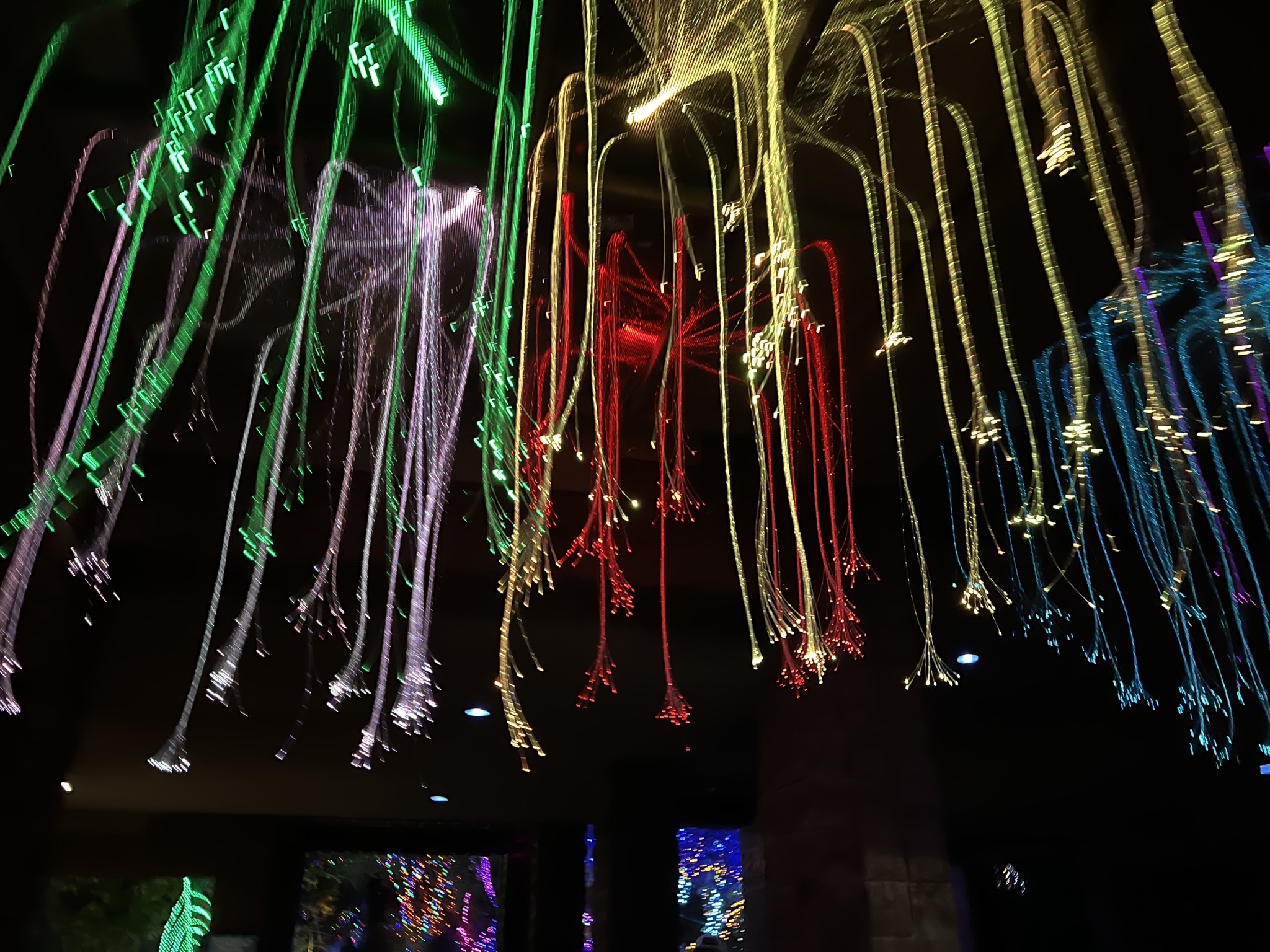 Zoo lights
